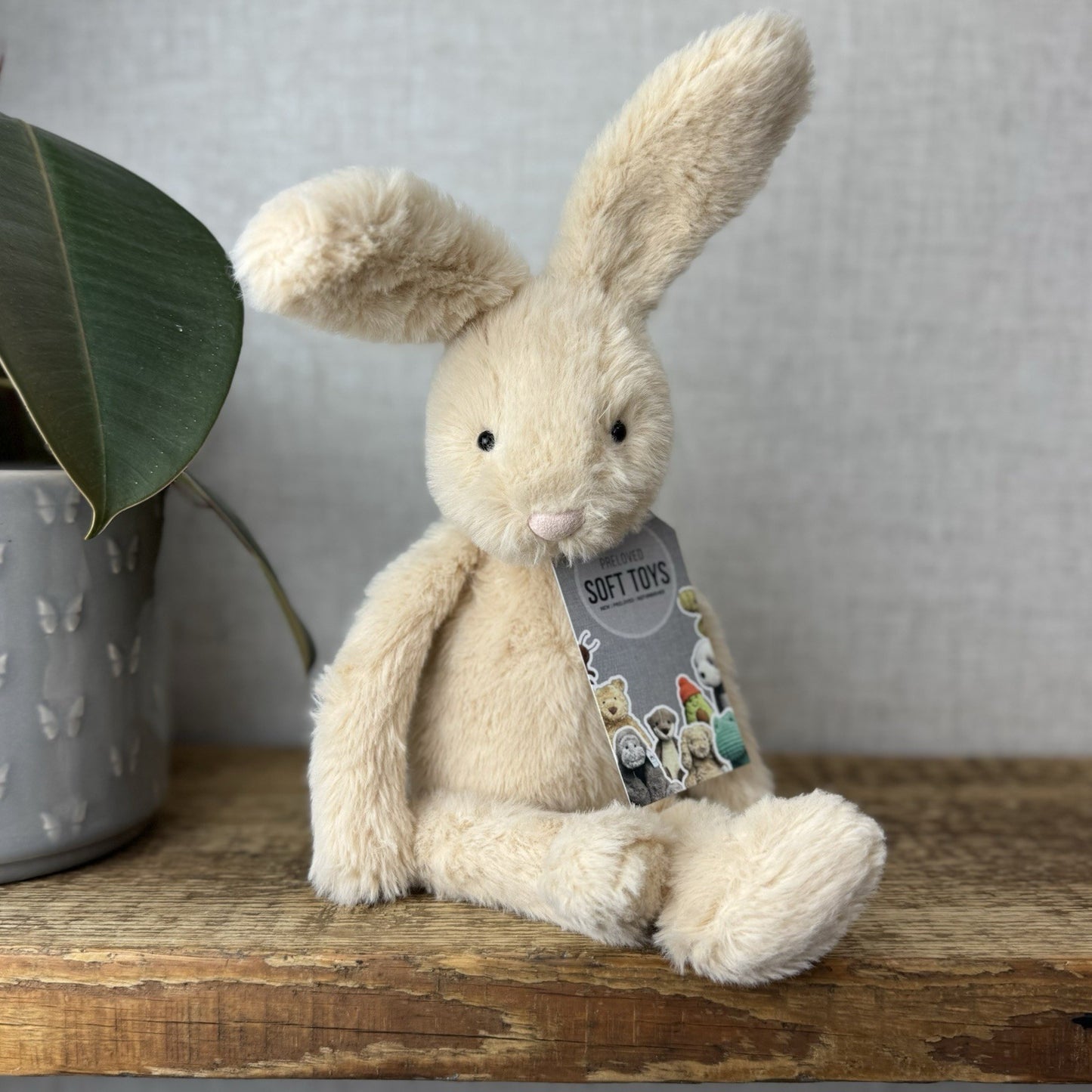 Jellycat Sweetie Bunny - Jellycat Fluffy Bunny Medium Rare Retired 12” (#2)