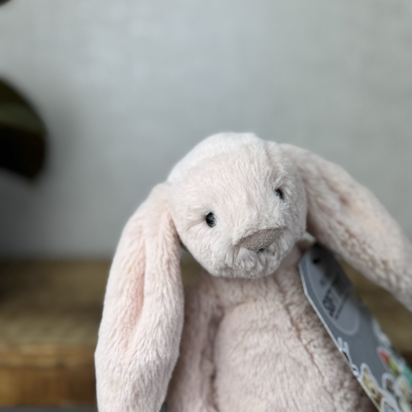 Jellycat Small Bashful Blush Bunny - Soft Pink Bunny Rabbit Baby Blush 8” (2)