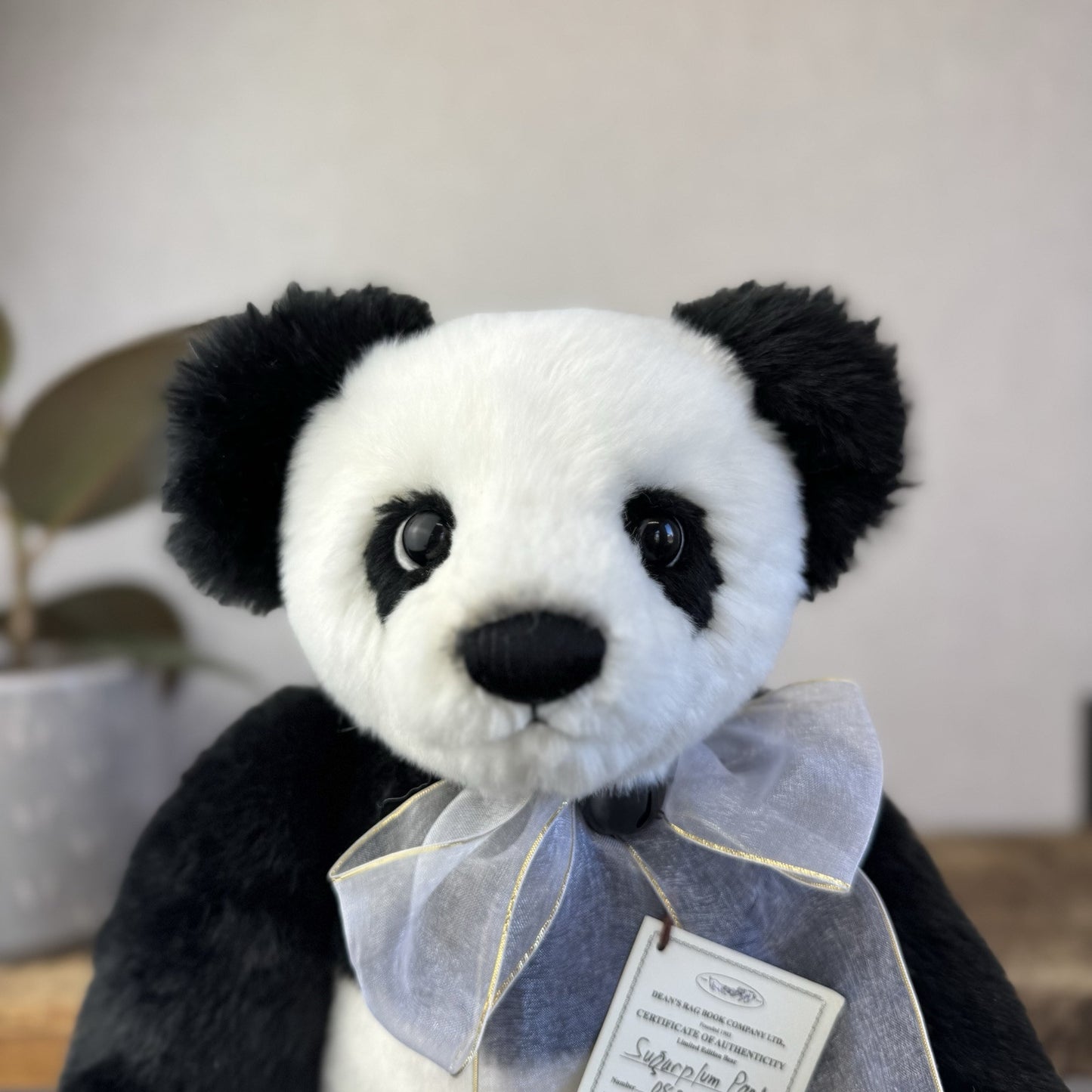 Deans Rag Book Bear Panda Limited Edition Sugarplum Panda Bear Super Soft 11”