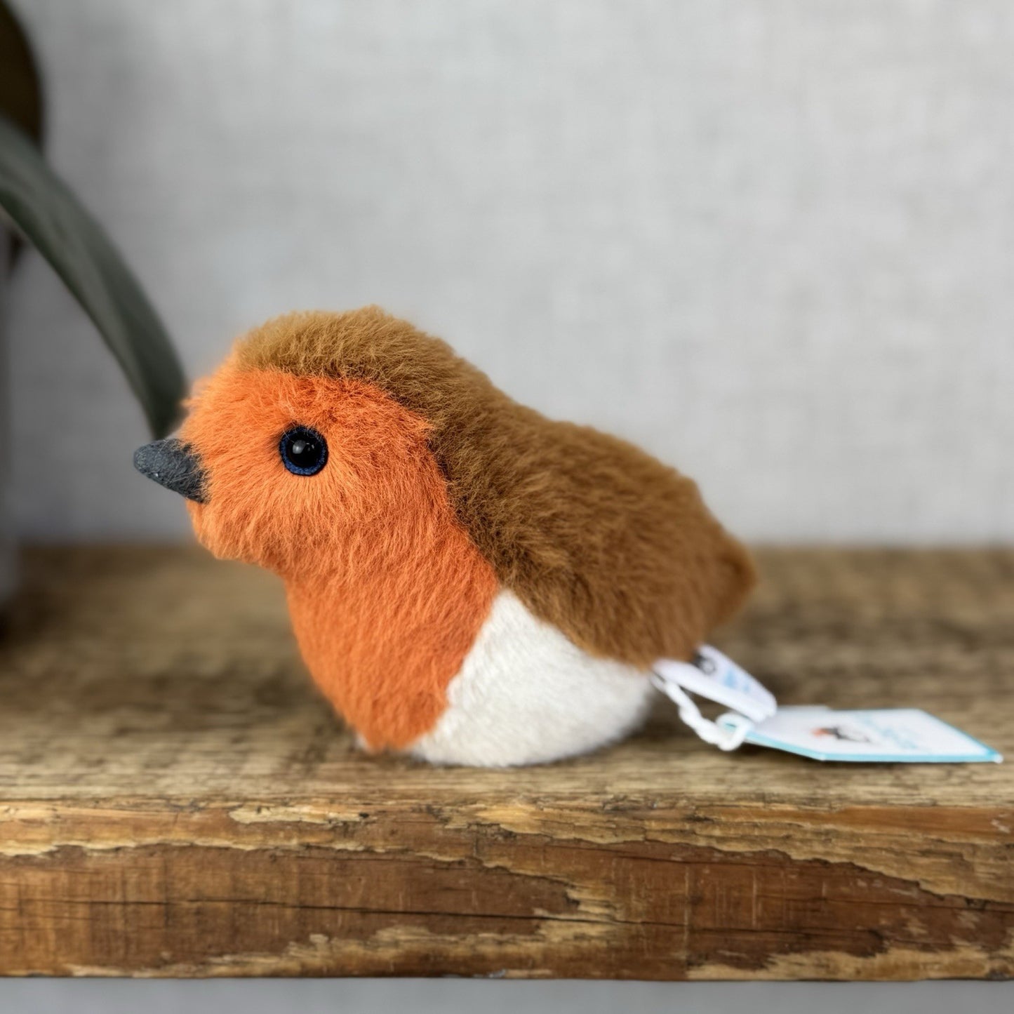 Jellycat Birdling Robin - Bird Pocket Pal Beanie Fluffy Bird Soft Toy Retired 4"