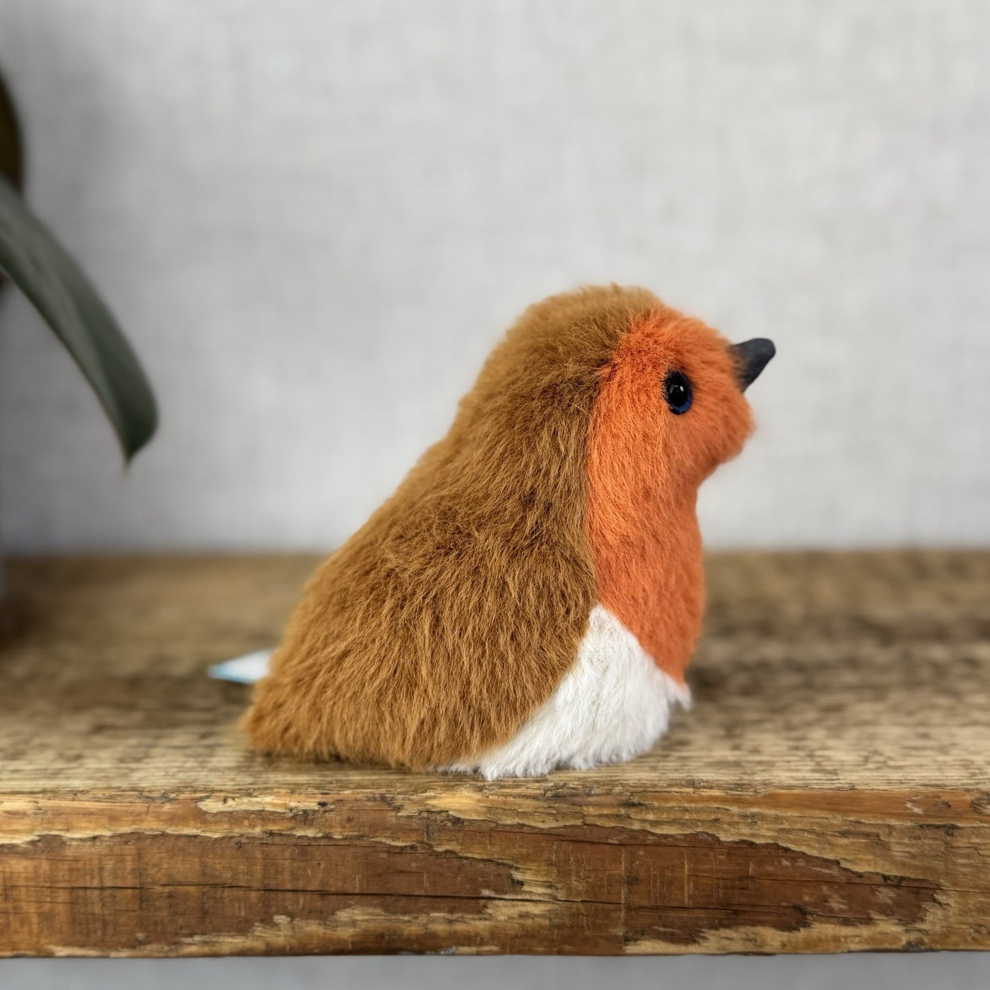 Jellycat Birdling Robin - Bird Pocket Pal Beanie Fluffy Bird Soft Toy Retired 4"