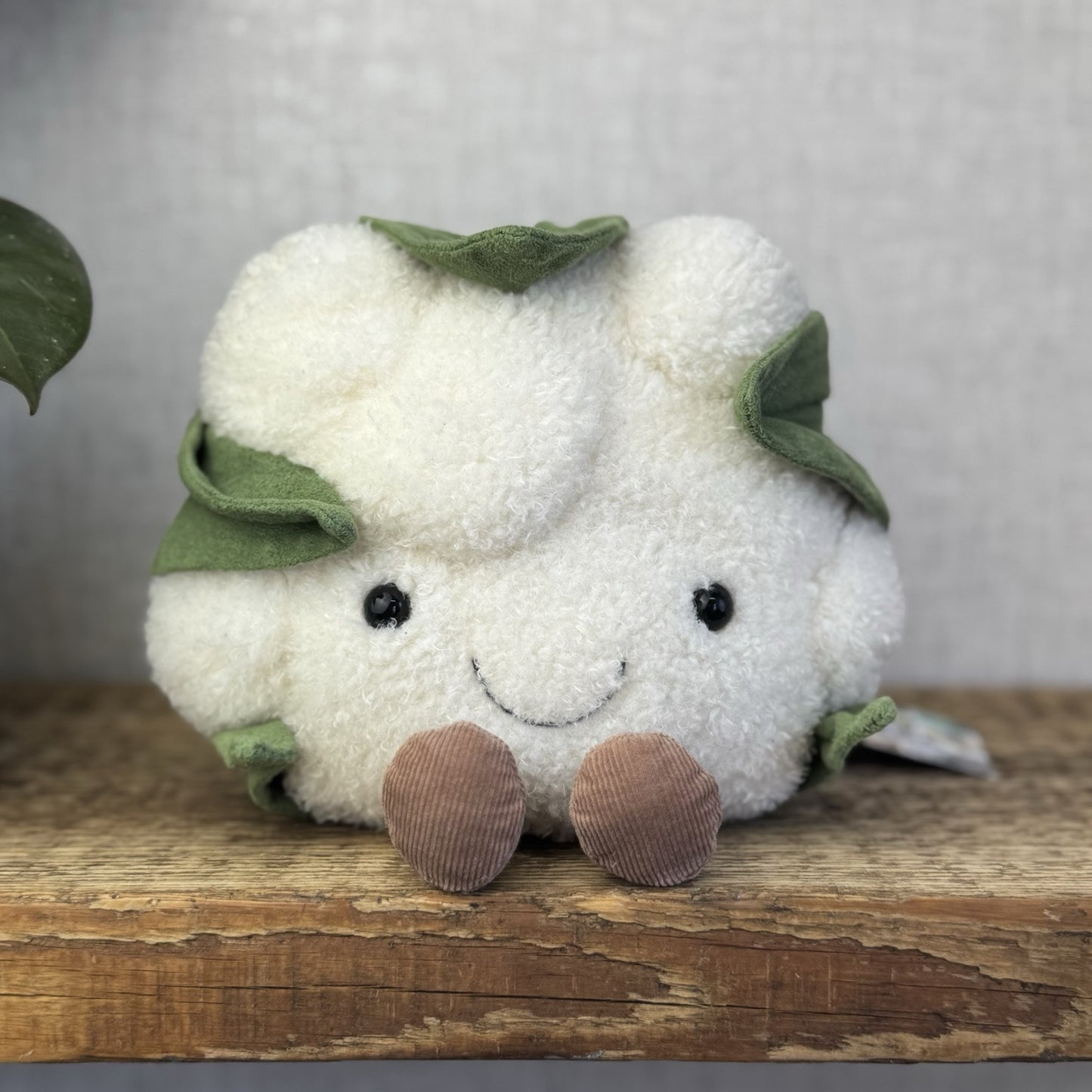 Jellycat Amuseable Cauliflower Soft Toy Plush - Retired Veg Collectible 7”