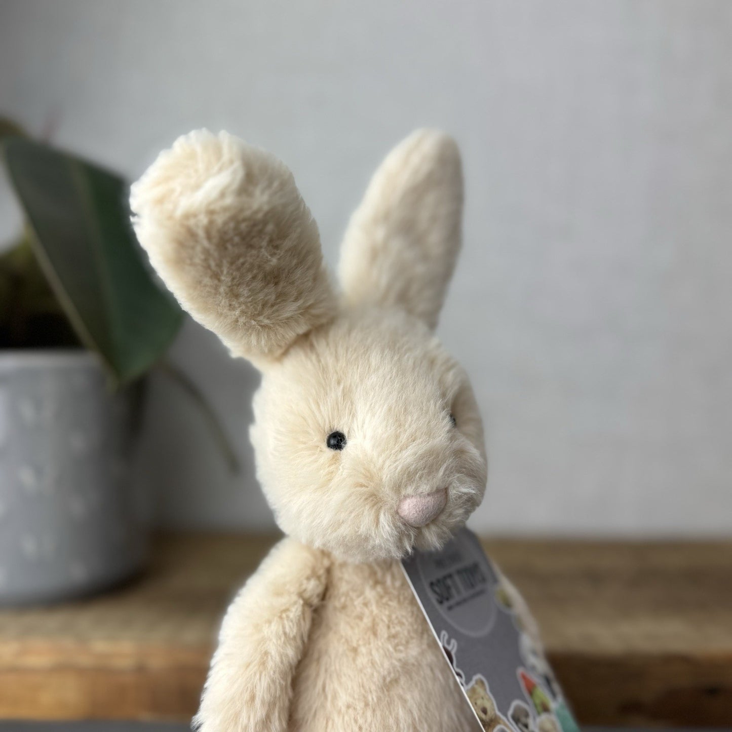 Jellycat Sweetie Bunny - Jellycat Fluffy Bunny Medium Rare Retired 12” (#2)