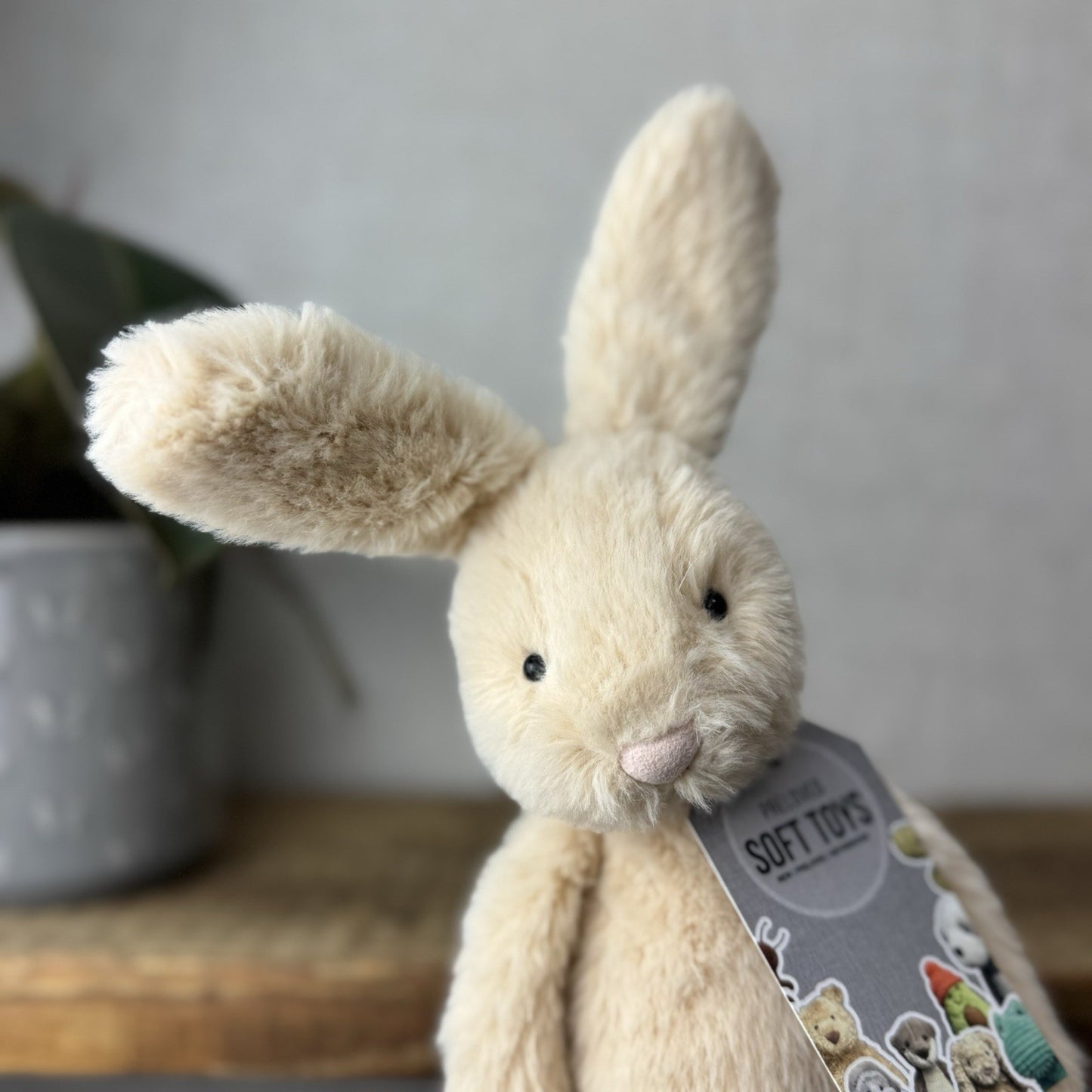 Jellycat Sweetie Bunny - Jellycat Fluffy Bunny Medium Rare Retired 12” (#2)