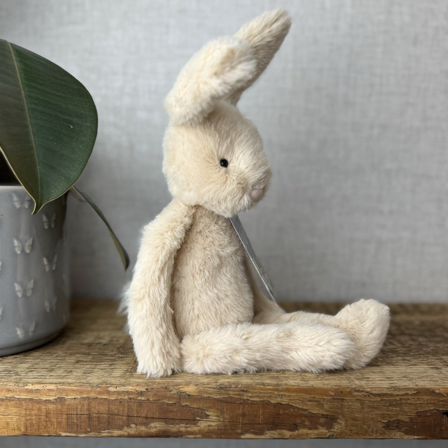 Jellycat Sweetie Bunny - Jellycat Fluffy Bunny Medium Rare Retired 12” (#2)