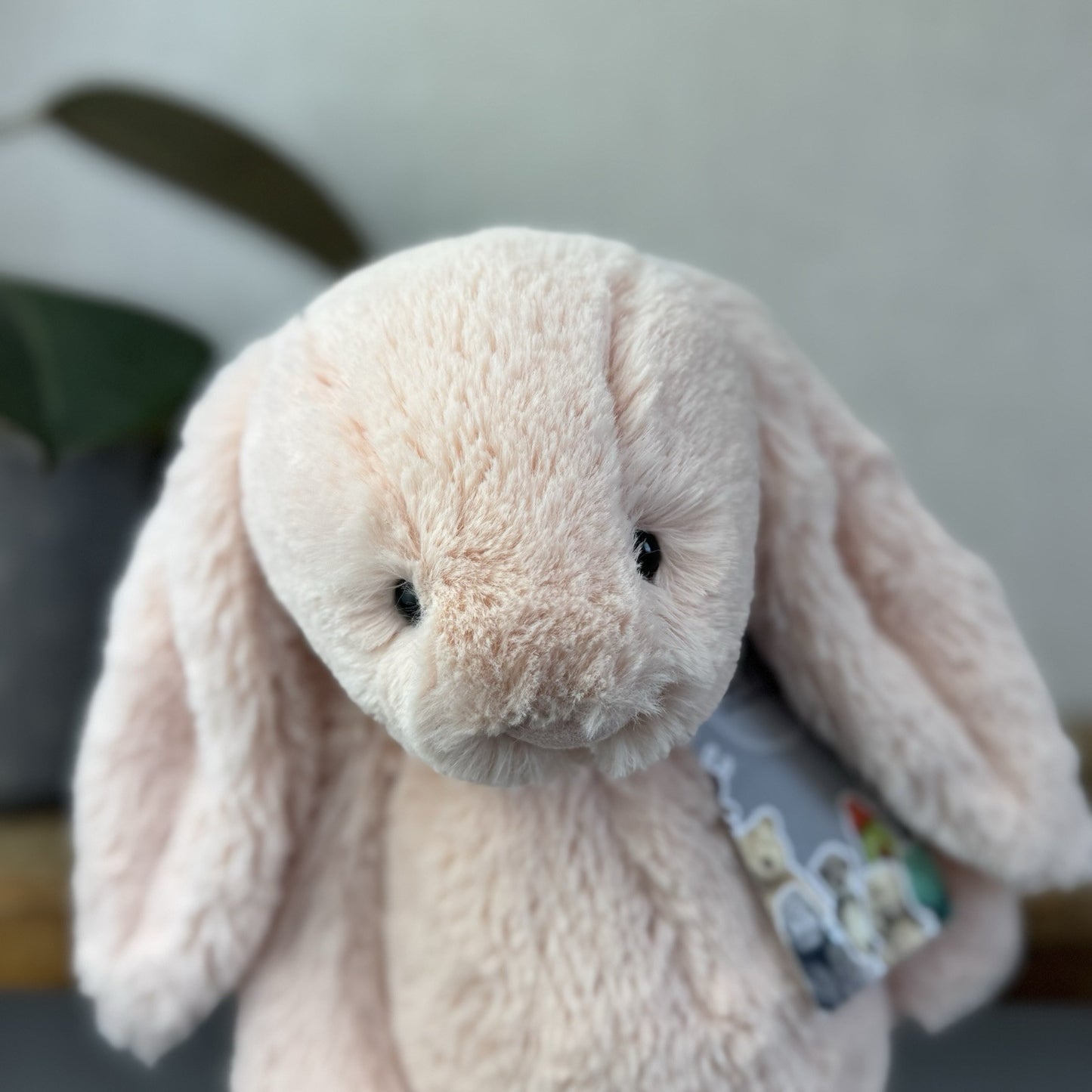 Jellycat Medium Bashful Blush Bunny - Pale Light Pink Rabbit 12” (#2)