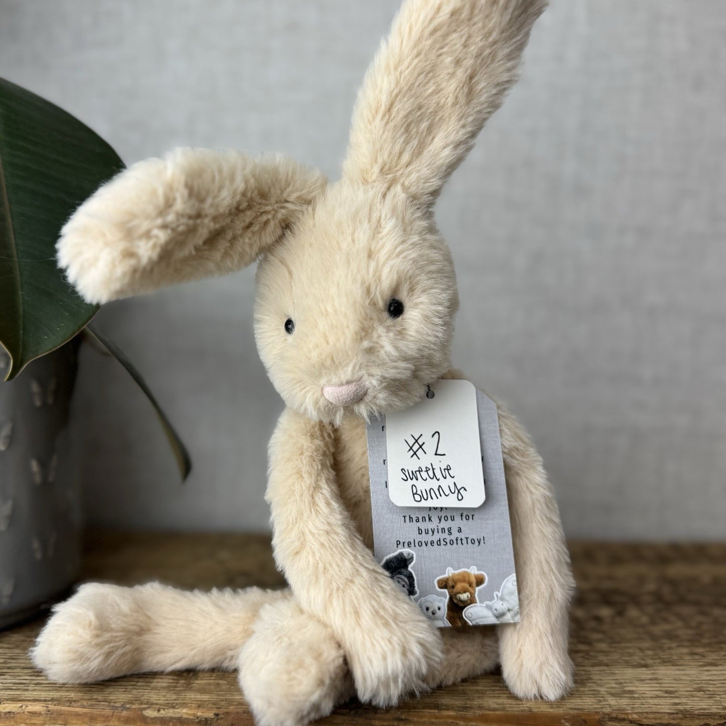 Jellycat Sweetie Bunny - Jellycat Fluffy Bunny Medium Rare Retired 12” (#2)