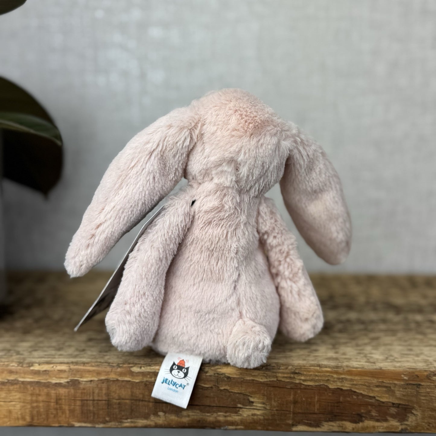 Jellycat Small Bashful Blush Bunny - Soft Pink Bunny Rabbit Baby Blush 8” (2)