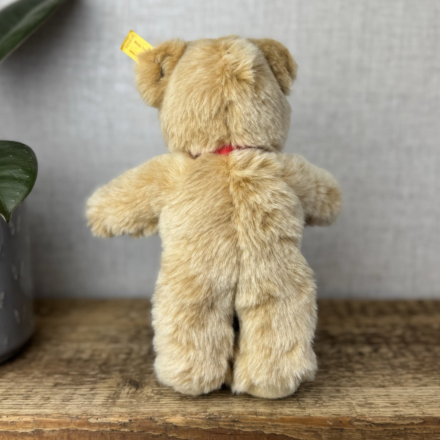 Steiff Molly Teddy Bear - Small Teddy Red Bow Tie - With Tags 9” - 669610 Molly