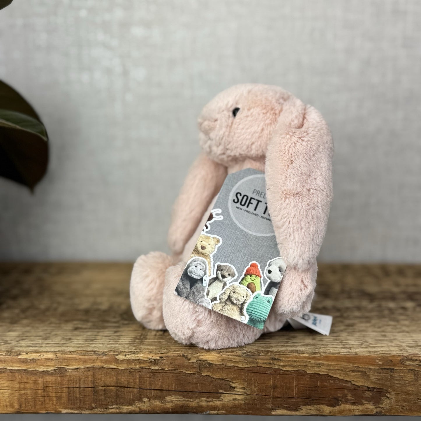 Jellycat Small Bashful Blush Bunny - Soft Pink Bunny Rabbit Baby Blush 8” (2)