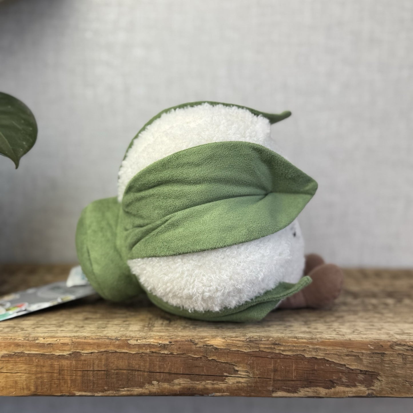 Jellycat Amuseable Cauliflower Soft Toy Plush - Retired Veg Collectible 7”