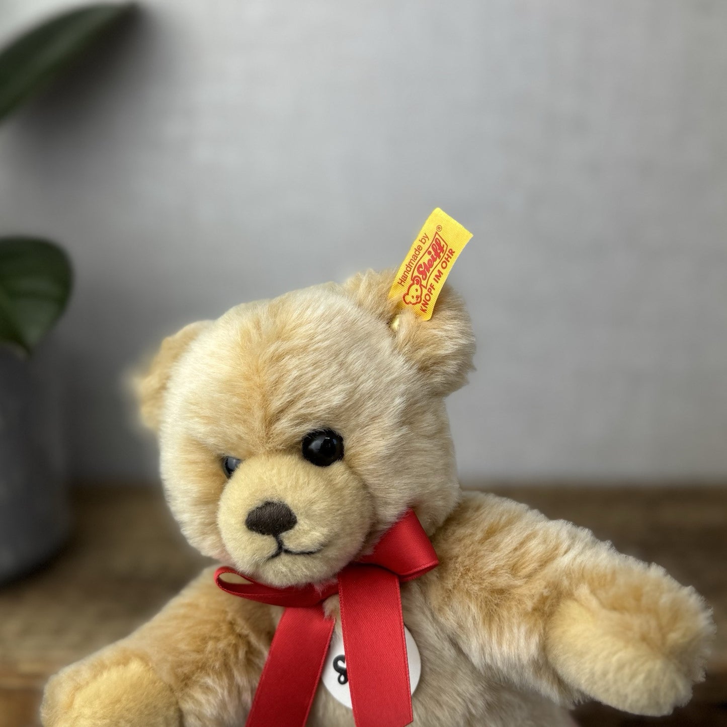 Steiff Molly Teddy Bear - Small Teddy Red Bow Tie - With Tags 9” - 669610 Molly