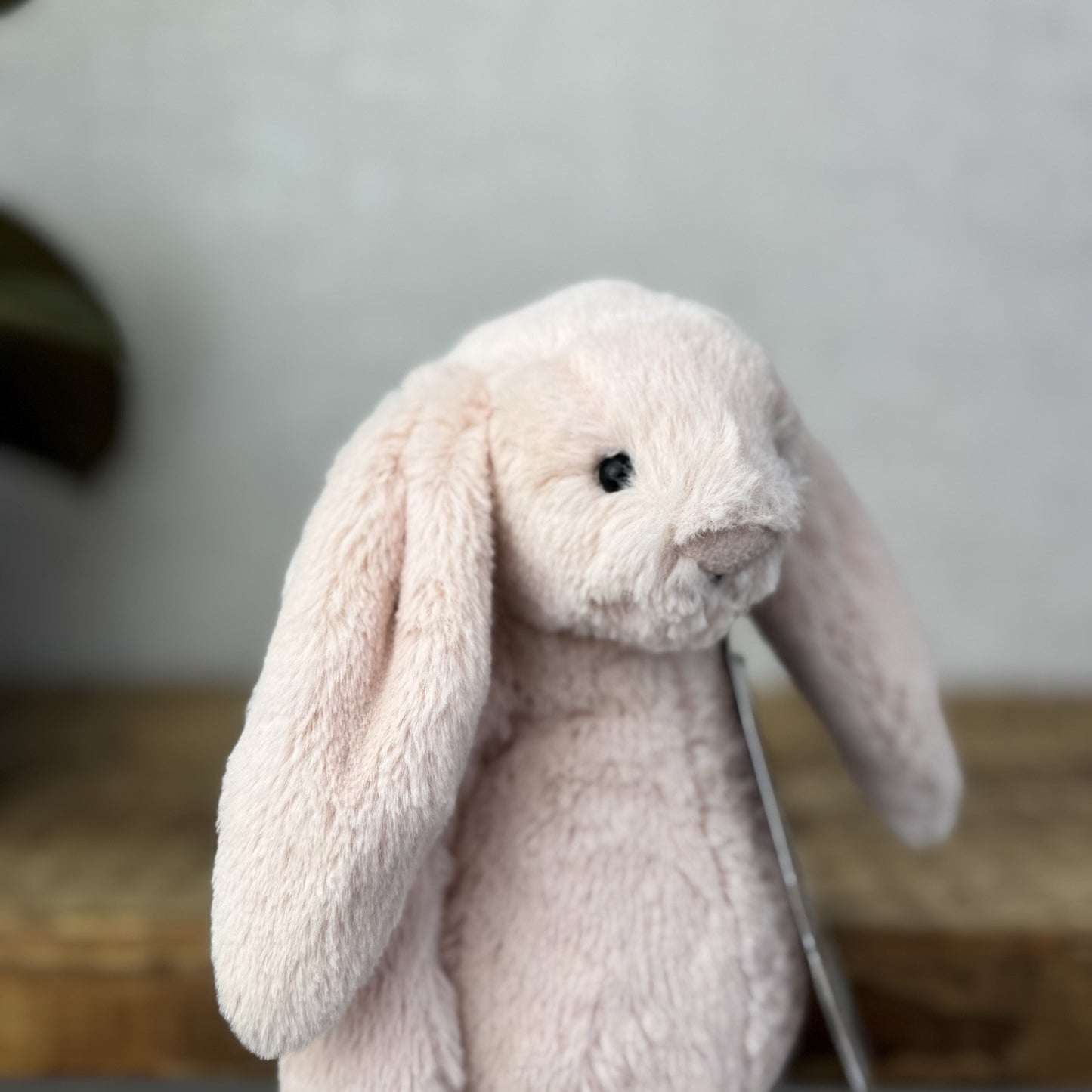 Jellycat Small Bashful Blush Bunny - Soft Pink Bunny Rabbit Baby Blush 8” (2)