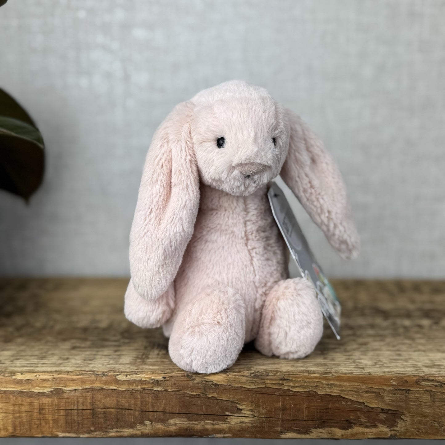 Jellycat Small Bashful Blush Bunny - Soft Pink Bunny Rabbit Baby Blush 8” (2)