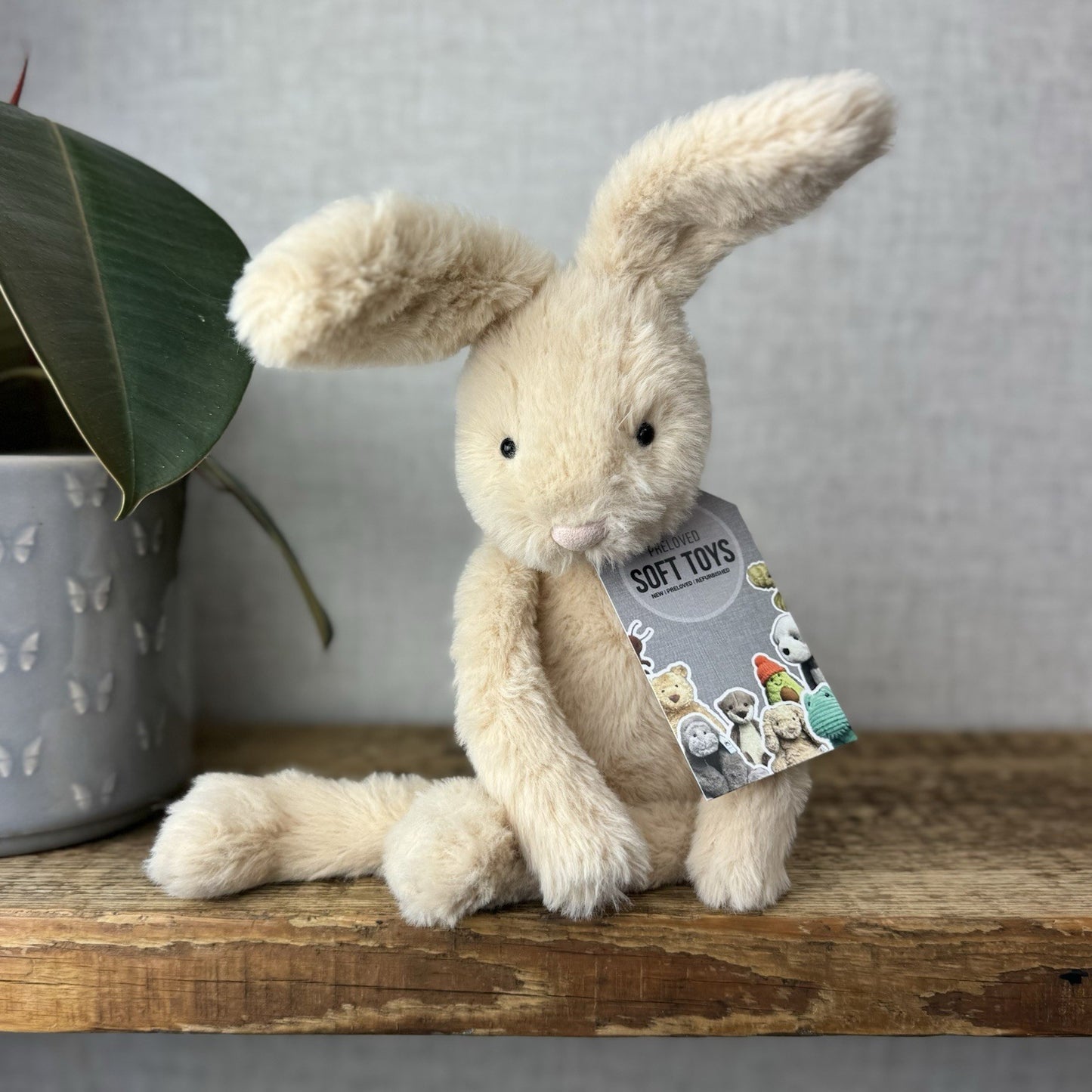Jellycat Sweetie Bunny - Jellycat Fluffy Bunny Medium Rare Retired 12” (#2)