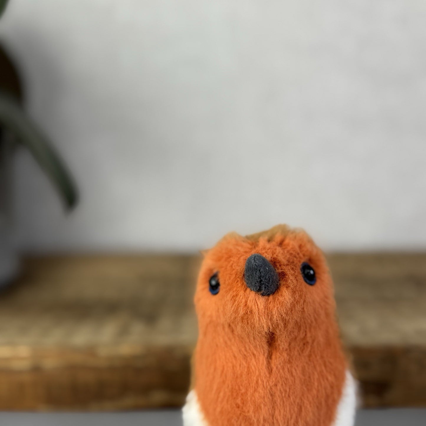 Jellycat Birdling Robin - Bird Pocket Pal Beanie Fluffy Bird Soft Toy Retired 4"