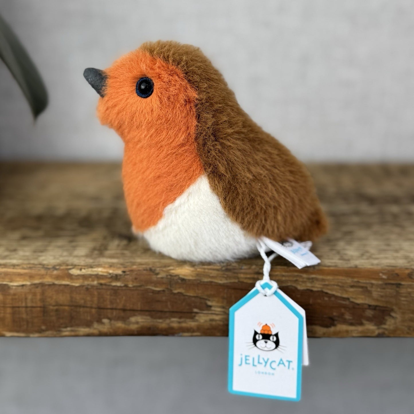 Jellycat Birdling Robin - Bird Pocket Pal Beanie Fluffy Bird Soft Toy Retired 4"