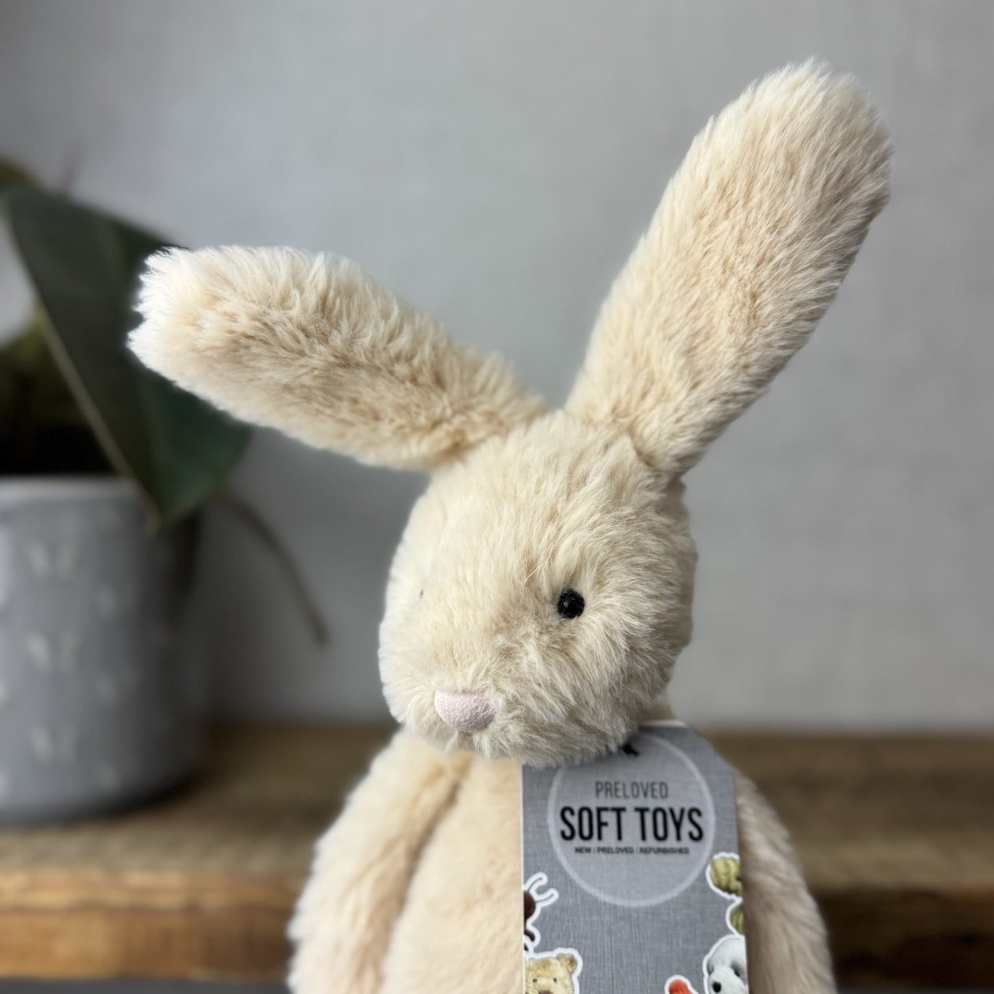 Jellycat Sweetie Bunny - Jellycat Fluffy Bunny Medium Rare Retired 12” (#2)