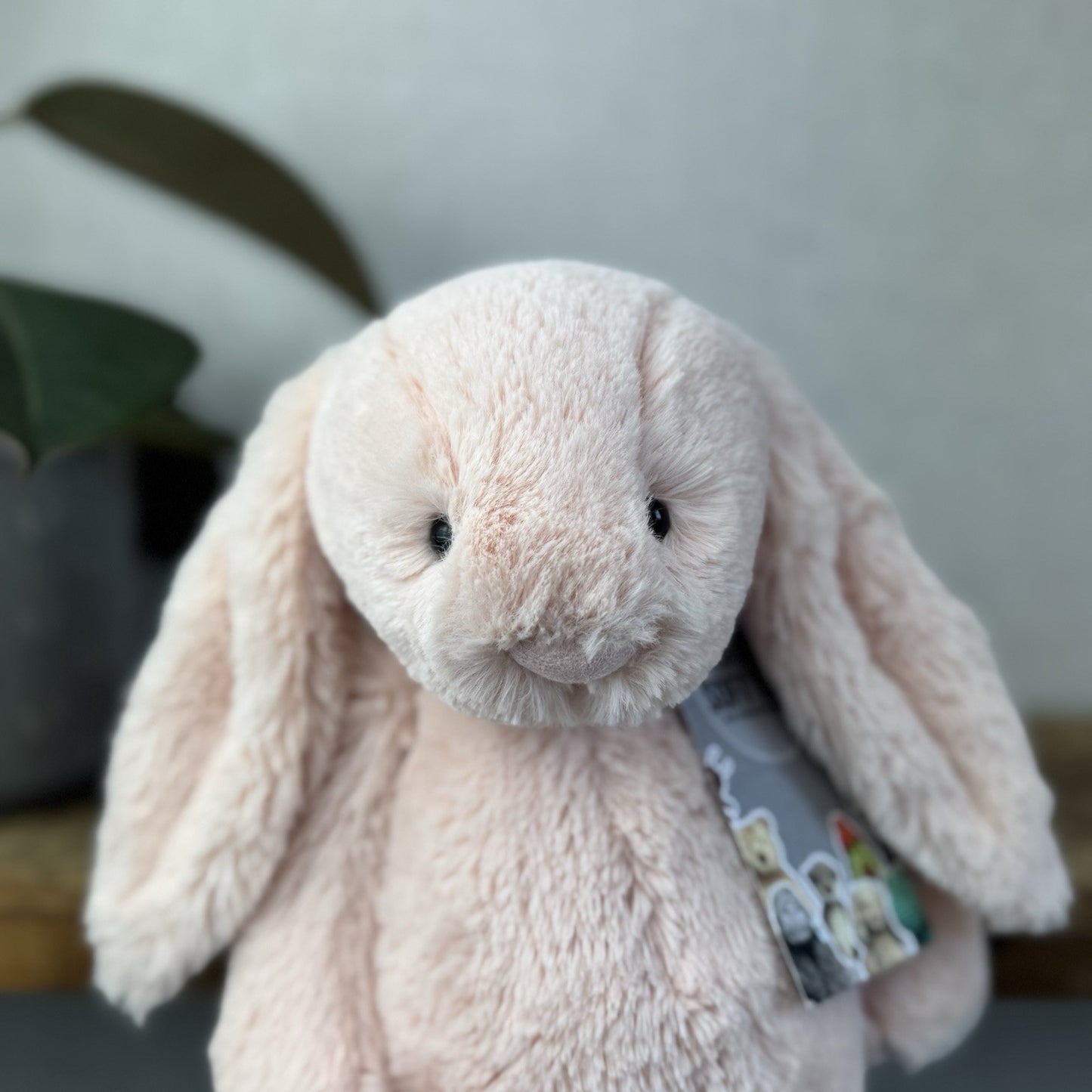 Jellycat Medium Bashful Blush Bunny - Pale Light Pink Rabbit 12” (#2)