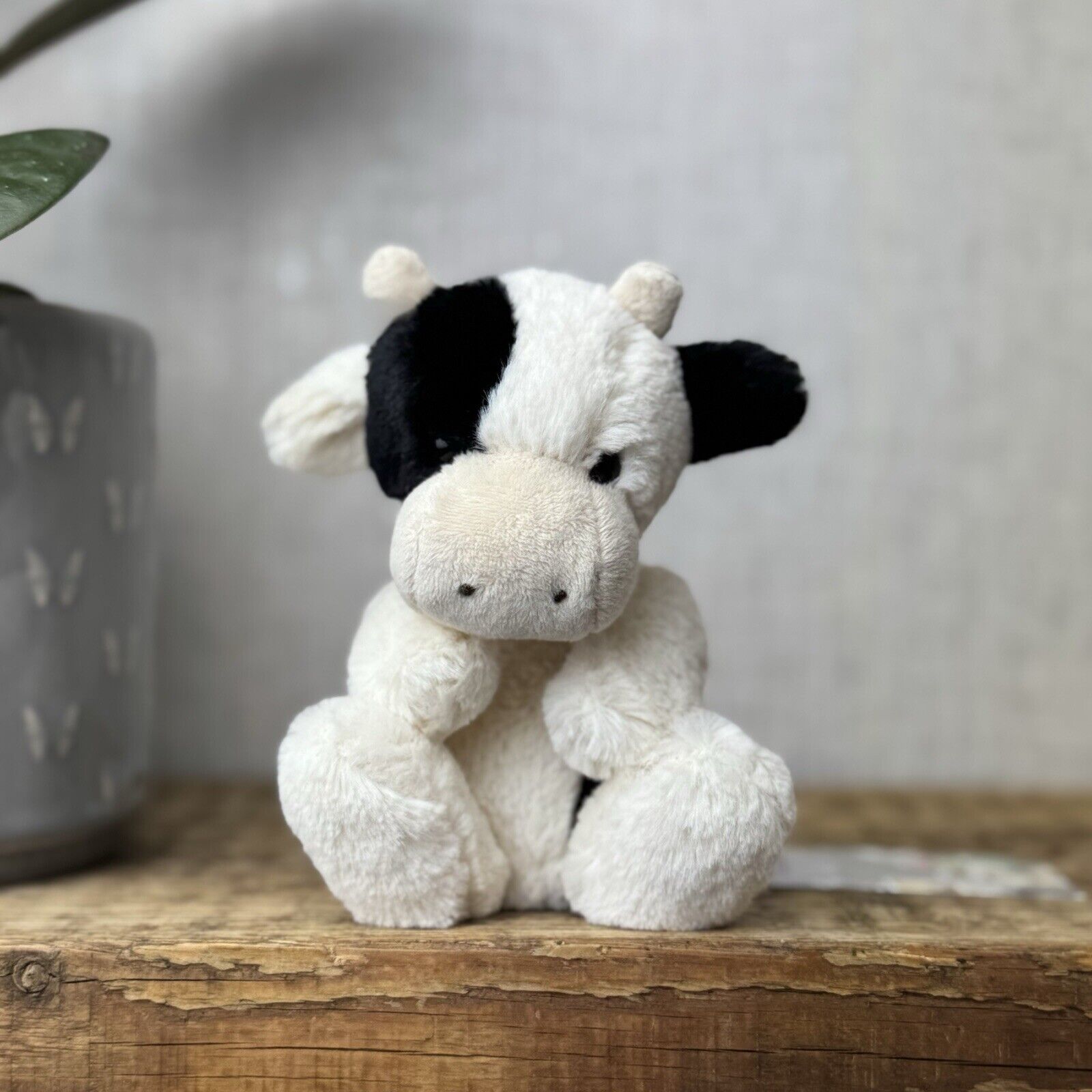 Farm Animals