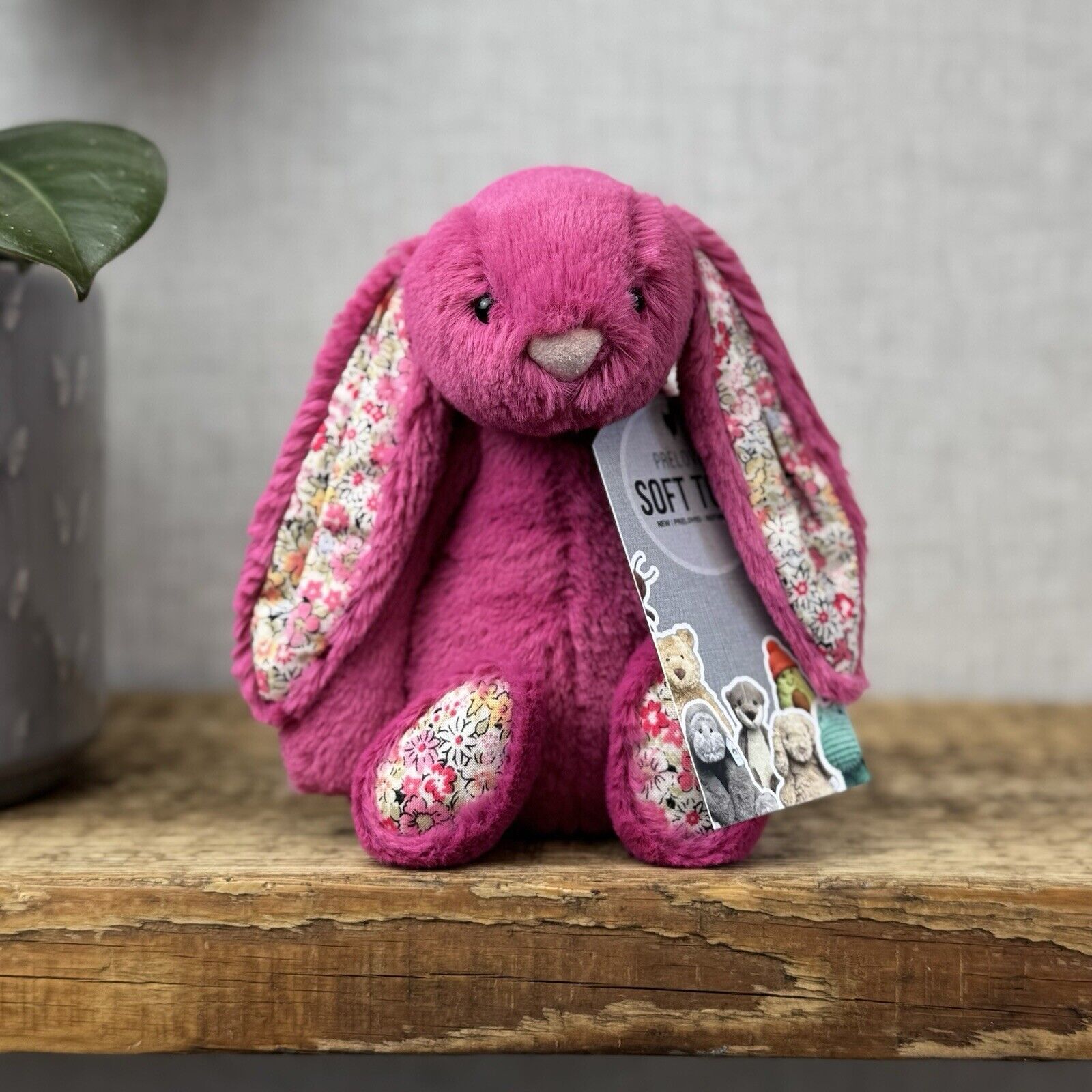 Small Bashful Bunnies
