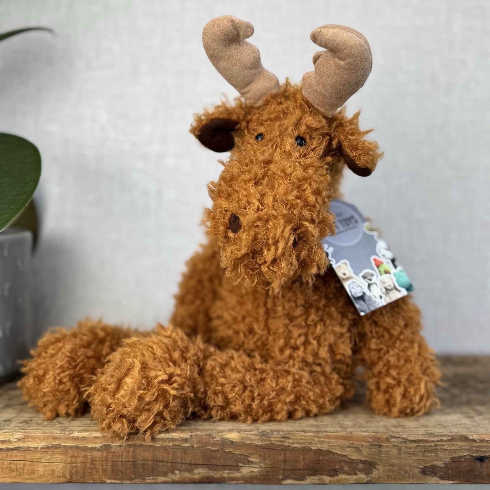 Woodland Animals