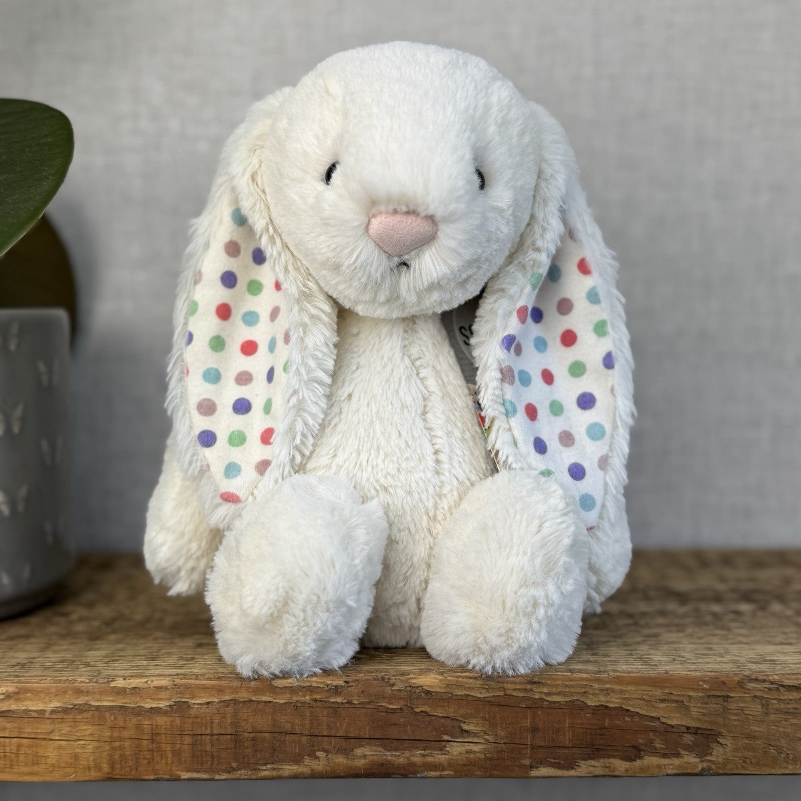 Medium Bashful Bunnies