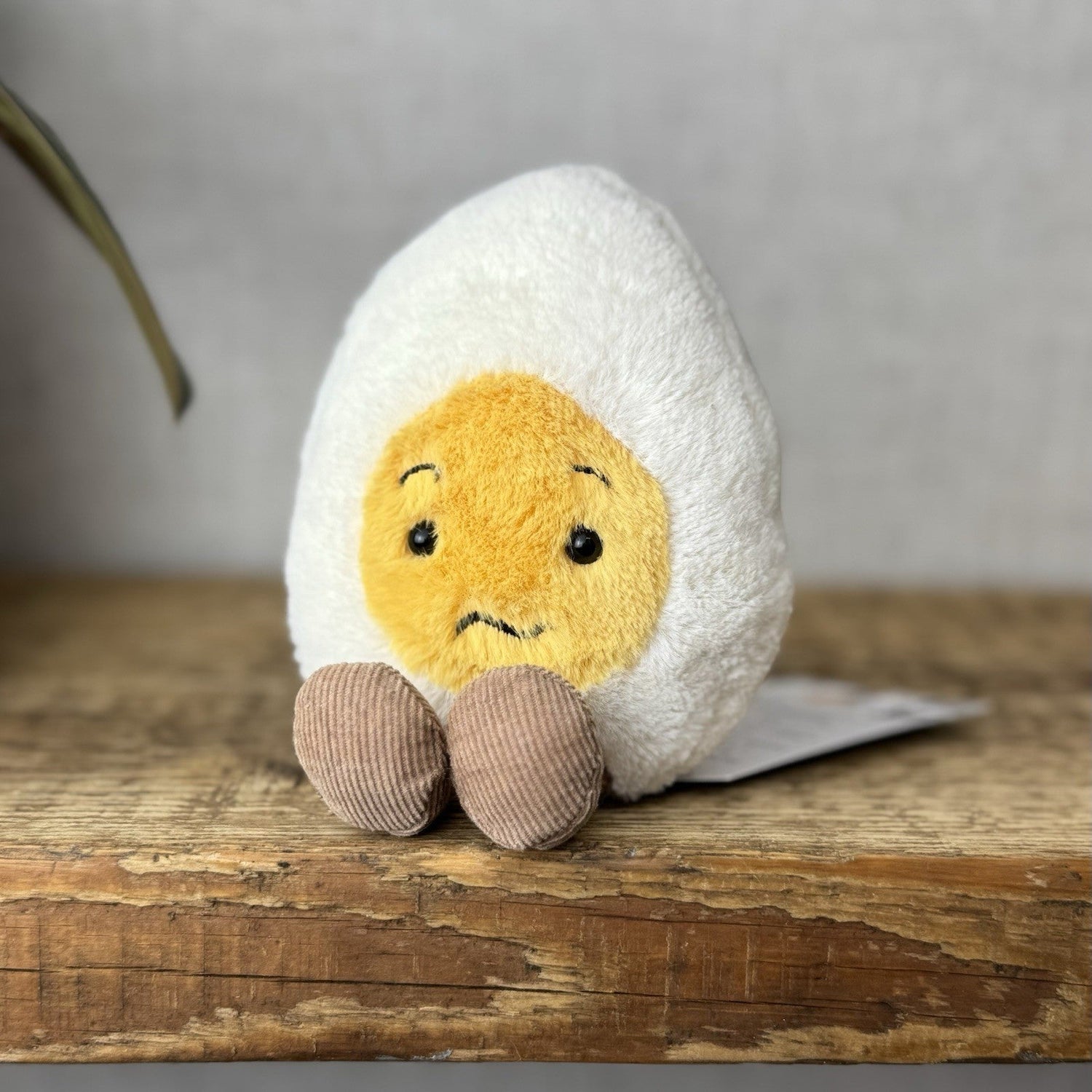 Eggs