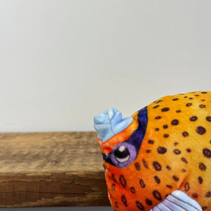 Jellycat Fishiful Orange NWT
