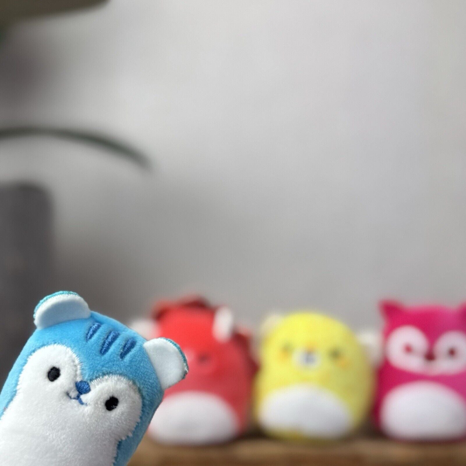 Squishmallow Squishville Bright Squad - Tristan, Santiago, Lexie & Lucia 2"