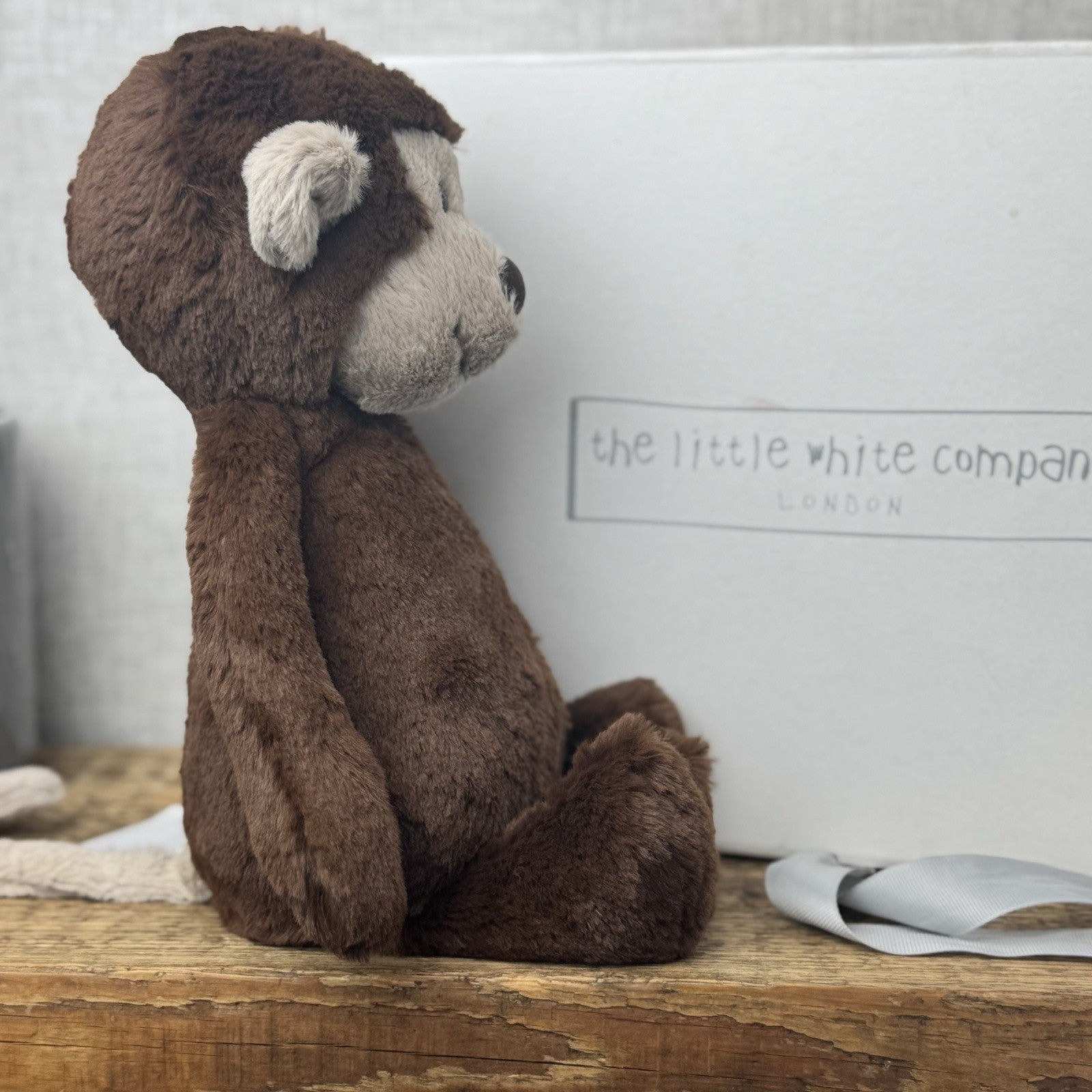 Jellycat Medium Morris Monkey (White Company Exclusive) Chocolate Brown New Tag