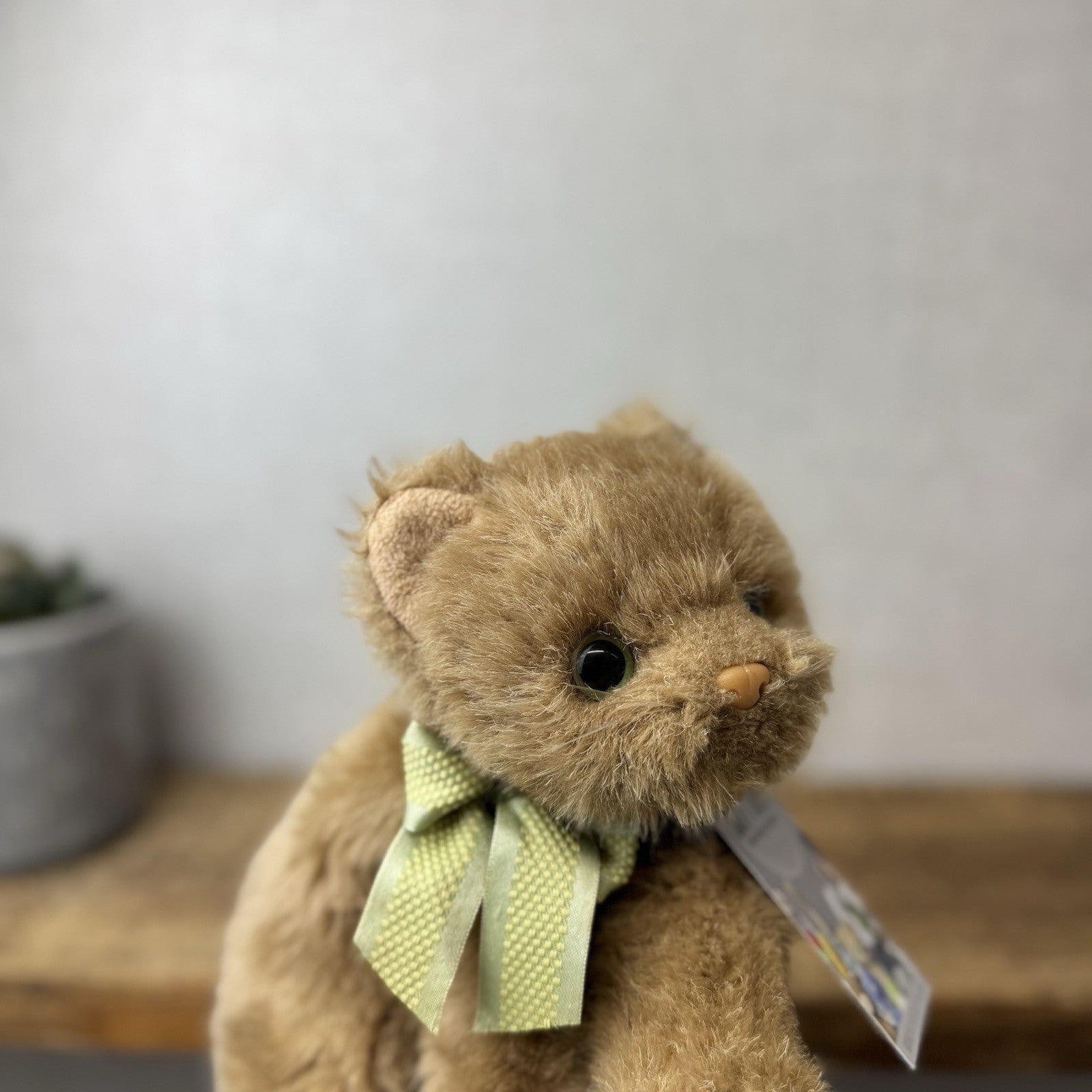TY Classic Cameo The Brown Cat - Green Bow Tie - Vintage 2002 Brown Cat Beanie