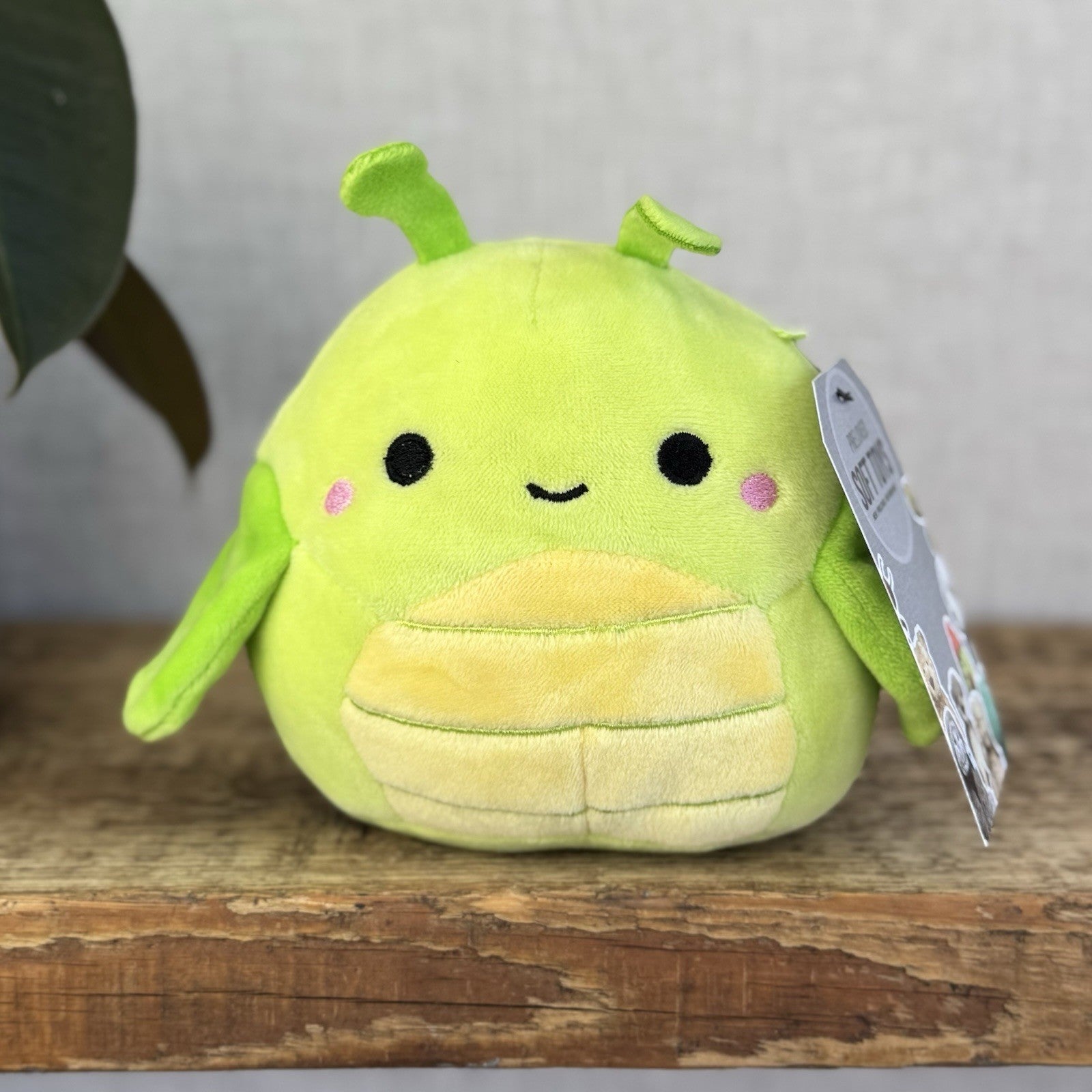Squishmallow 5" Pilar The Grasshopper Small Green Bug Soft Toy Squishmallow