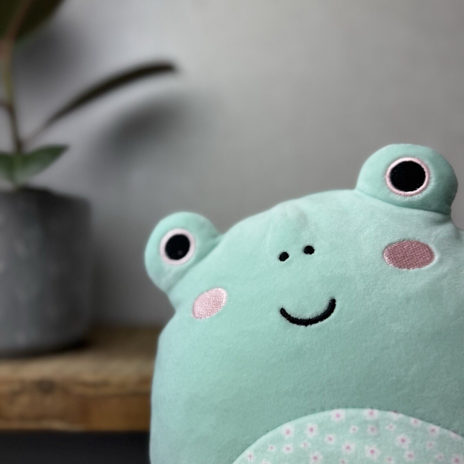 Squishmallows Fritz The Frog - Frog With Floral Tummy Squishmallow Easter 8”