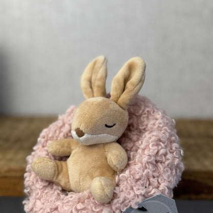 Jellycat Hibernating Bunny- Baby Sleeping Rabbit & Nest Soft Toy Plush Cute 5”