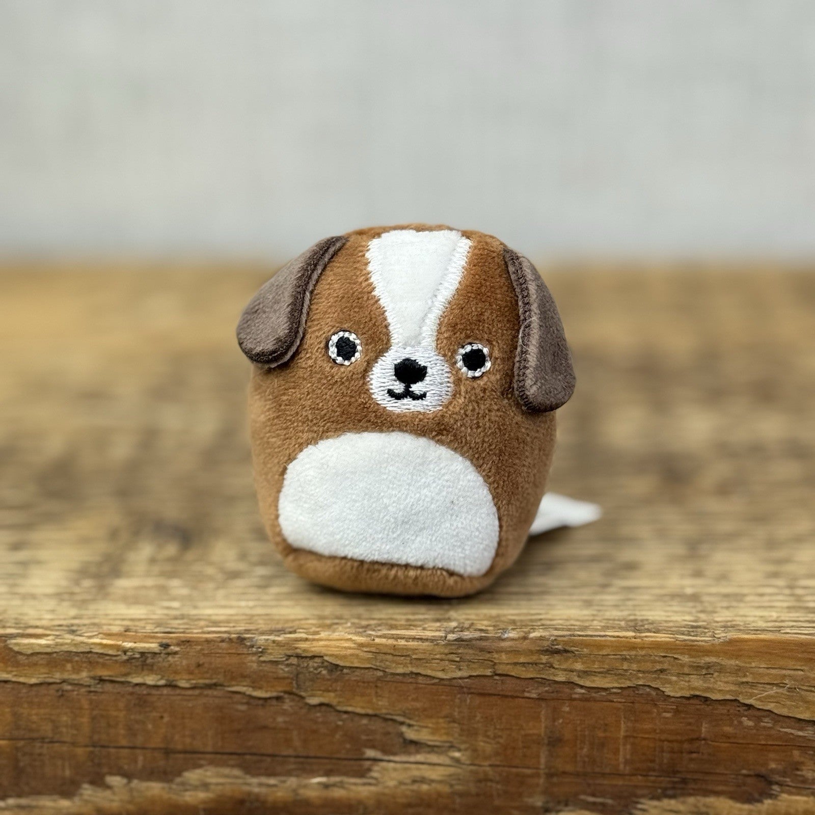 Squishmallow Squishville - Bernie St Bernard Miniature Dog Plush Squishy 2"