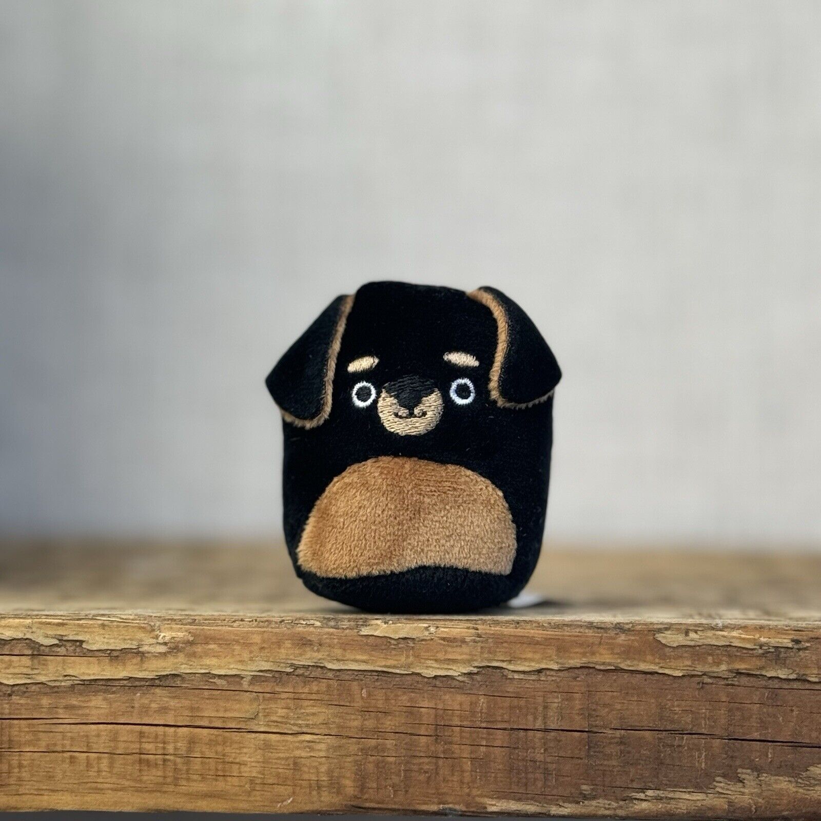 Squishmallow Squishville - Matea Rottweiler - Black & Brown Tiny Dog Squish 2"