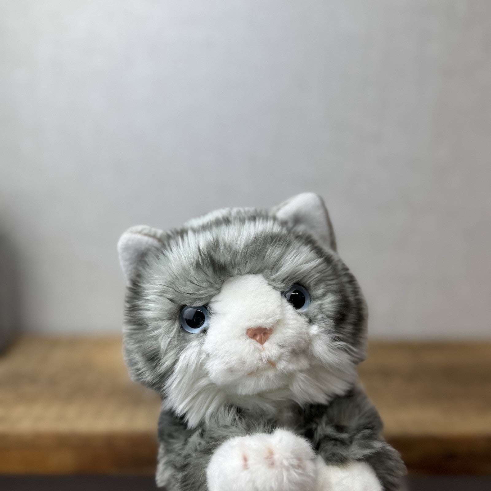 Keel Toys Tabby Cat - Grey Tabby Cat Beanie Plush Blue Eyes (Tag Cut off) Plush