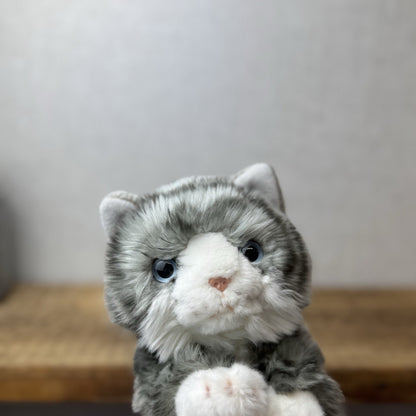 Keel Toys Tabby Cat - Grey Tabby Cat Beanie Plush Blue Eyes (Tag Cut off) Plush