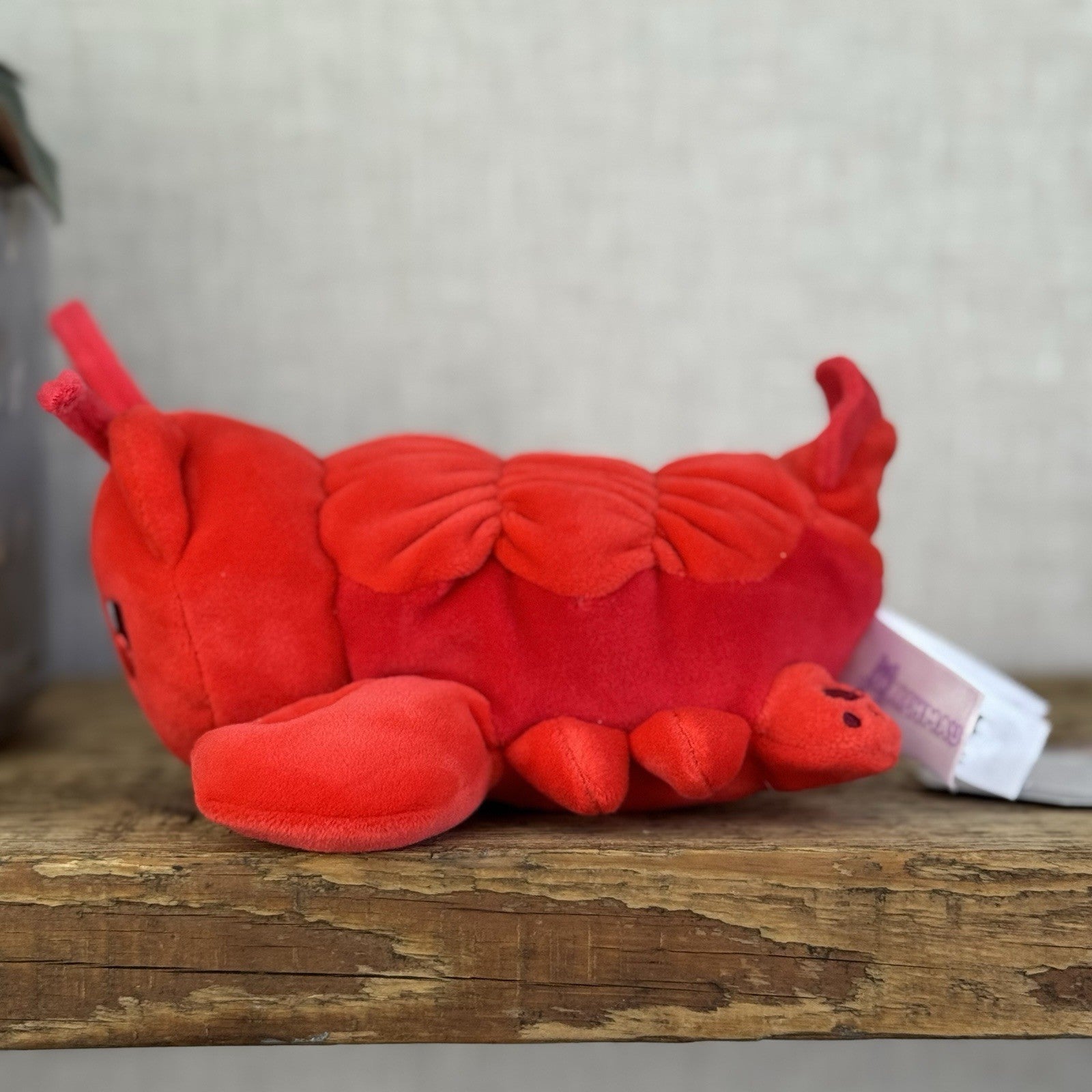 Aphmau MeeMeows Lobster Cat - Red Sea Creature Mystery Plush Toy Collectible 5”