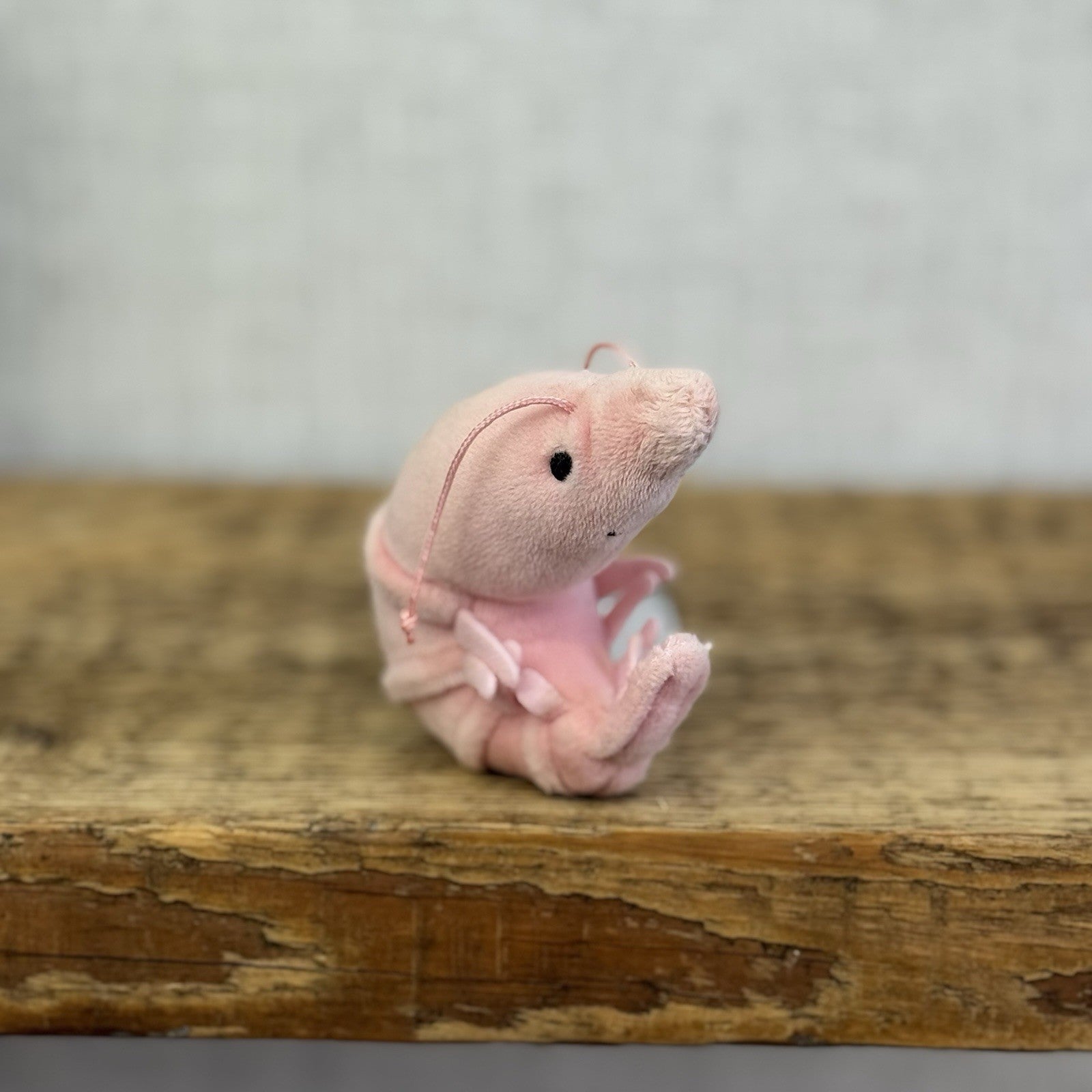Jellycat Sensational Seafood Shrimp - Small seafood Play Toy Retired 4"