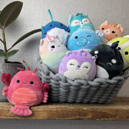 Squishmallow Small 5" Assortment - Holiday 2022 Bright - Cella, Gigi, Kai etc X9