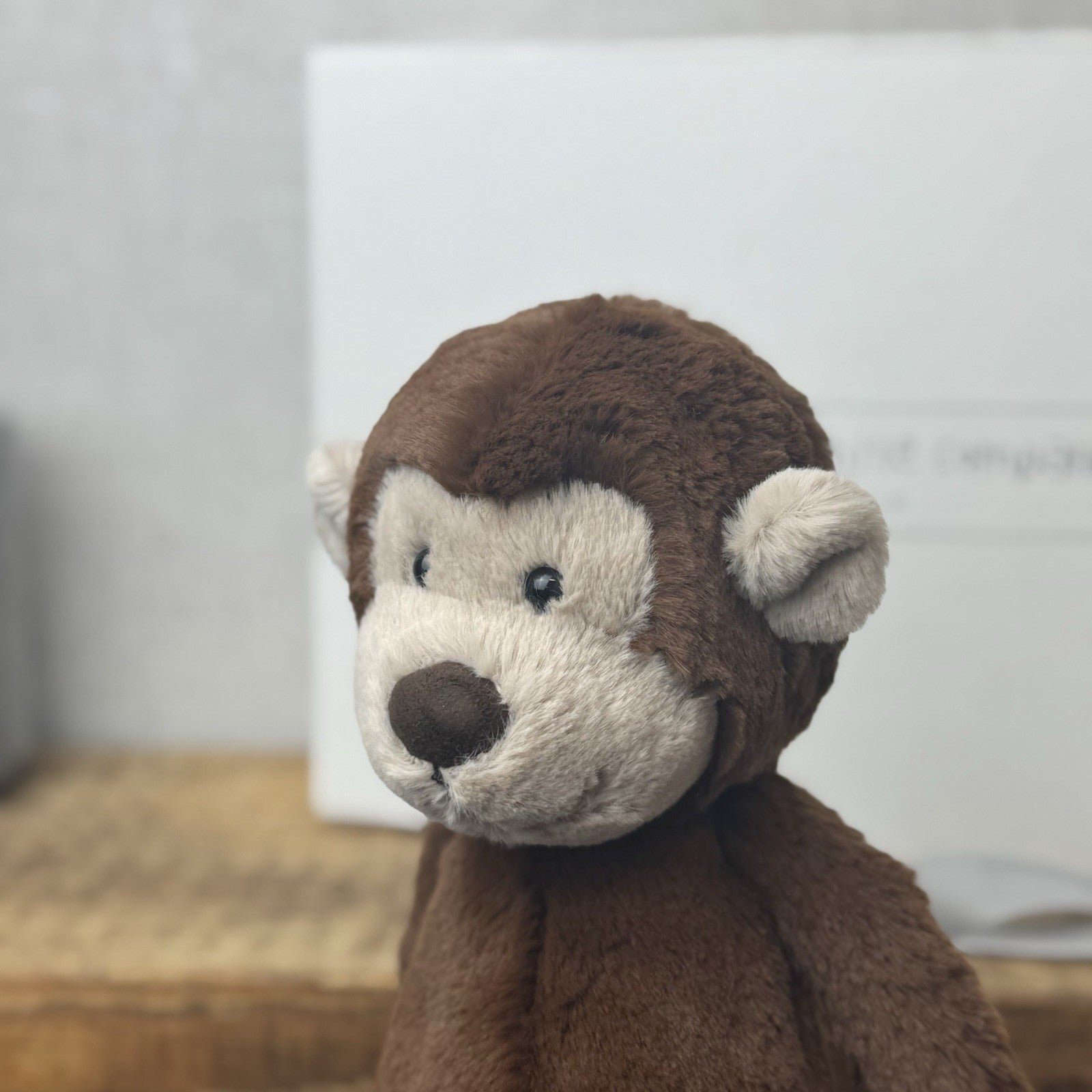 Jellycat Medium Morris Monkey (White Company Exclusive) Chocolate Brown New Tag