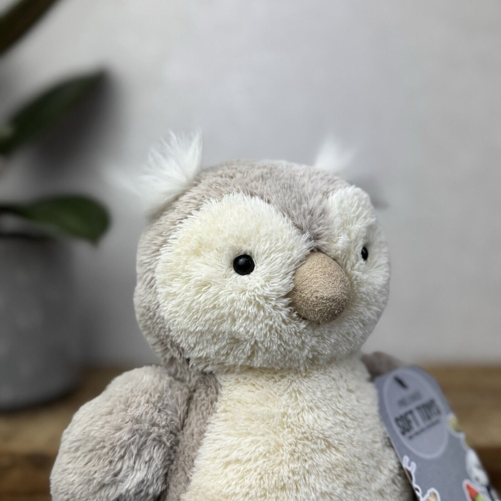 Jellycat Peanut Owl - Medium Peanut Chubby Beige/white Owl Plush Beanie 8”