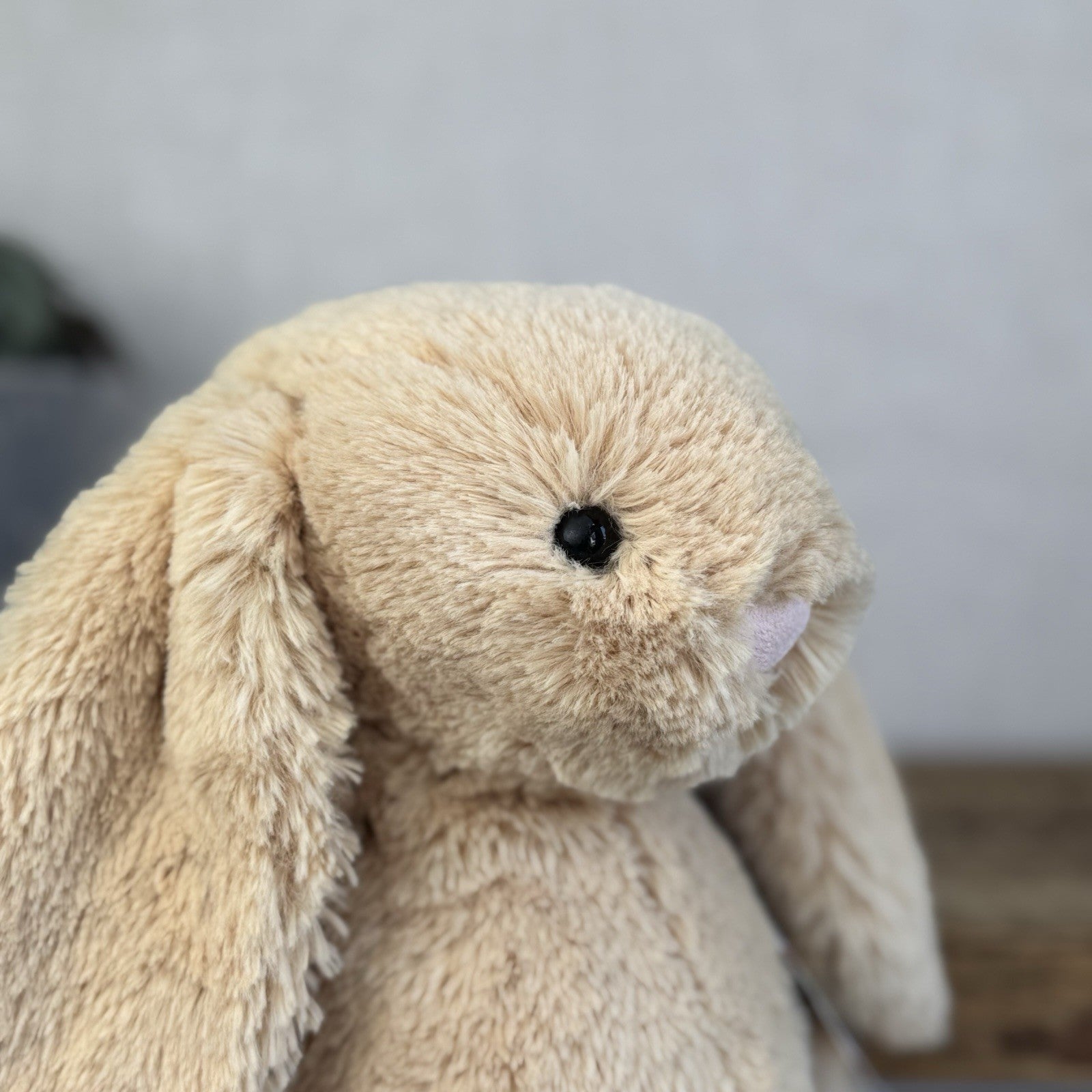 Jellycat Medium Bashful Honey Bunny - Retired Honey Bunny Plush Rabbit 12"