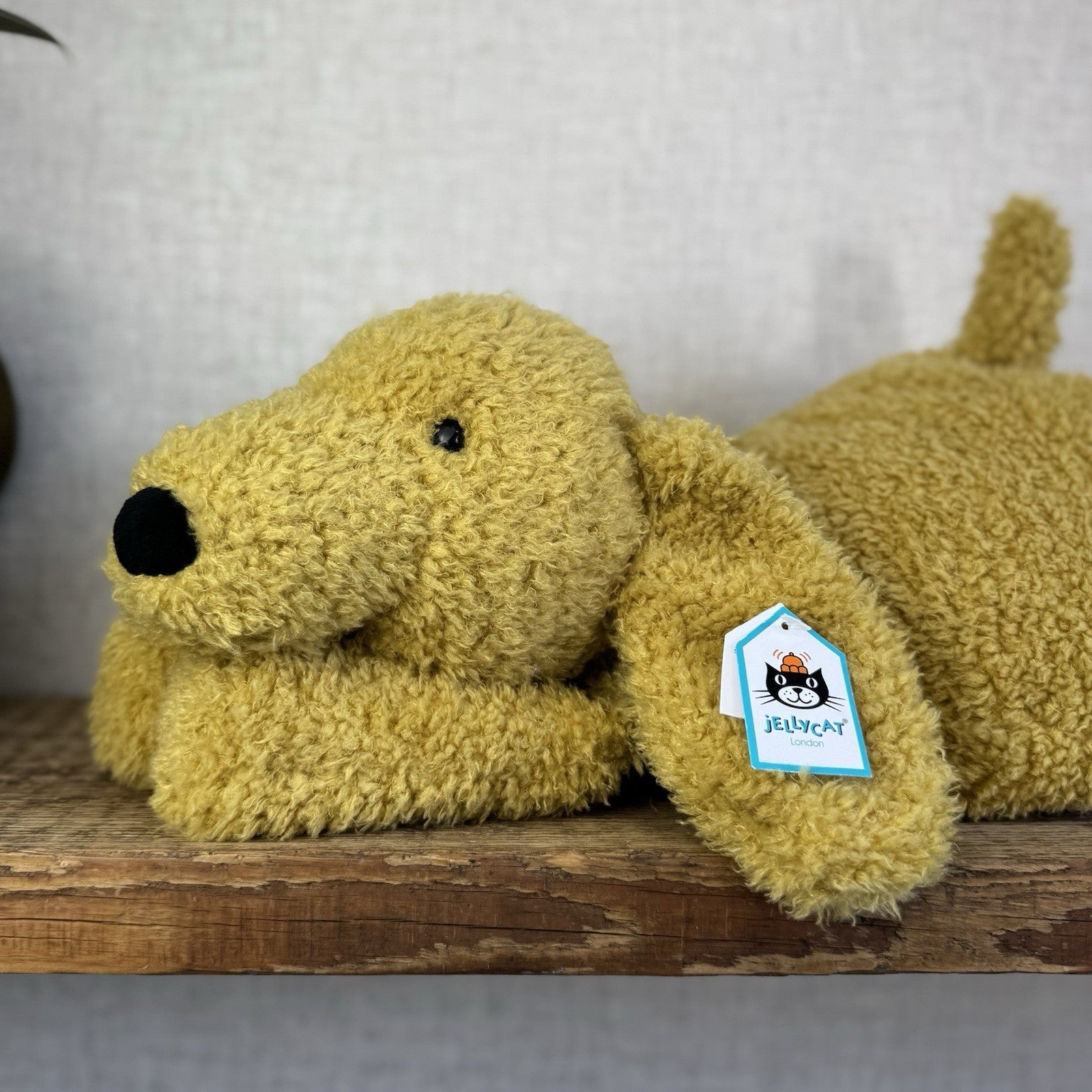 Jellycat Splootie Puppy - Retired & Rare Large Golden Beanie Floppy Dog 22”