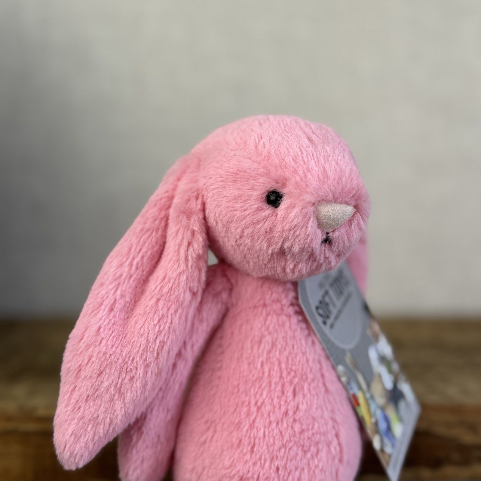 Jellycat Small Bashful Sorbet Bunny - Soft Pink Rabbit Retired Jellycat 8" (#2)