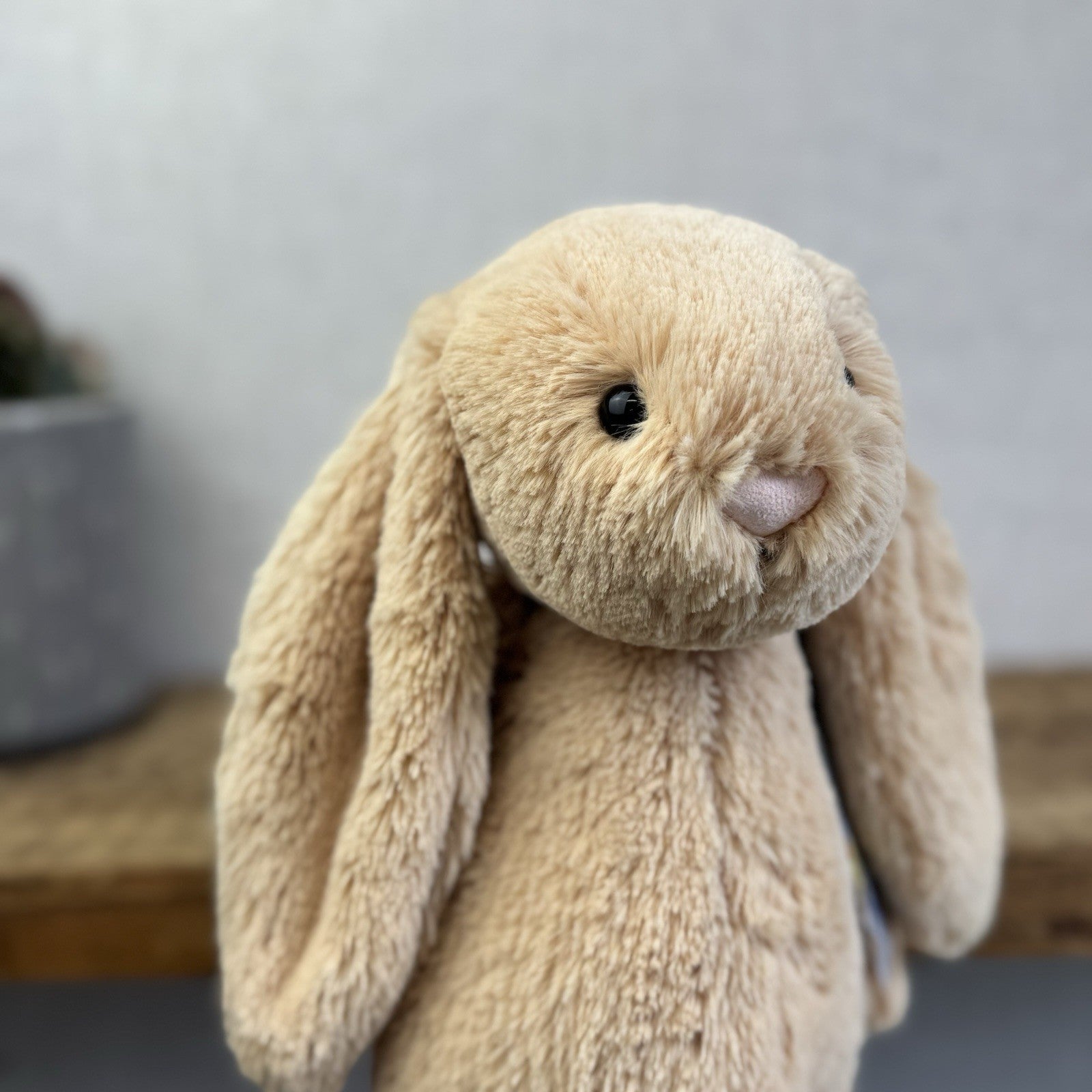 Jellycat Medium Bashful Honey Bunny - Rare Retired Medium Rabbit 12”