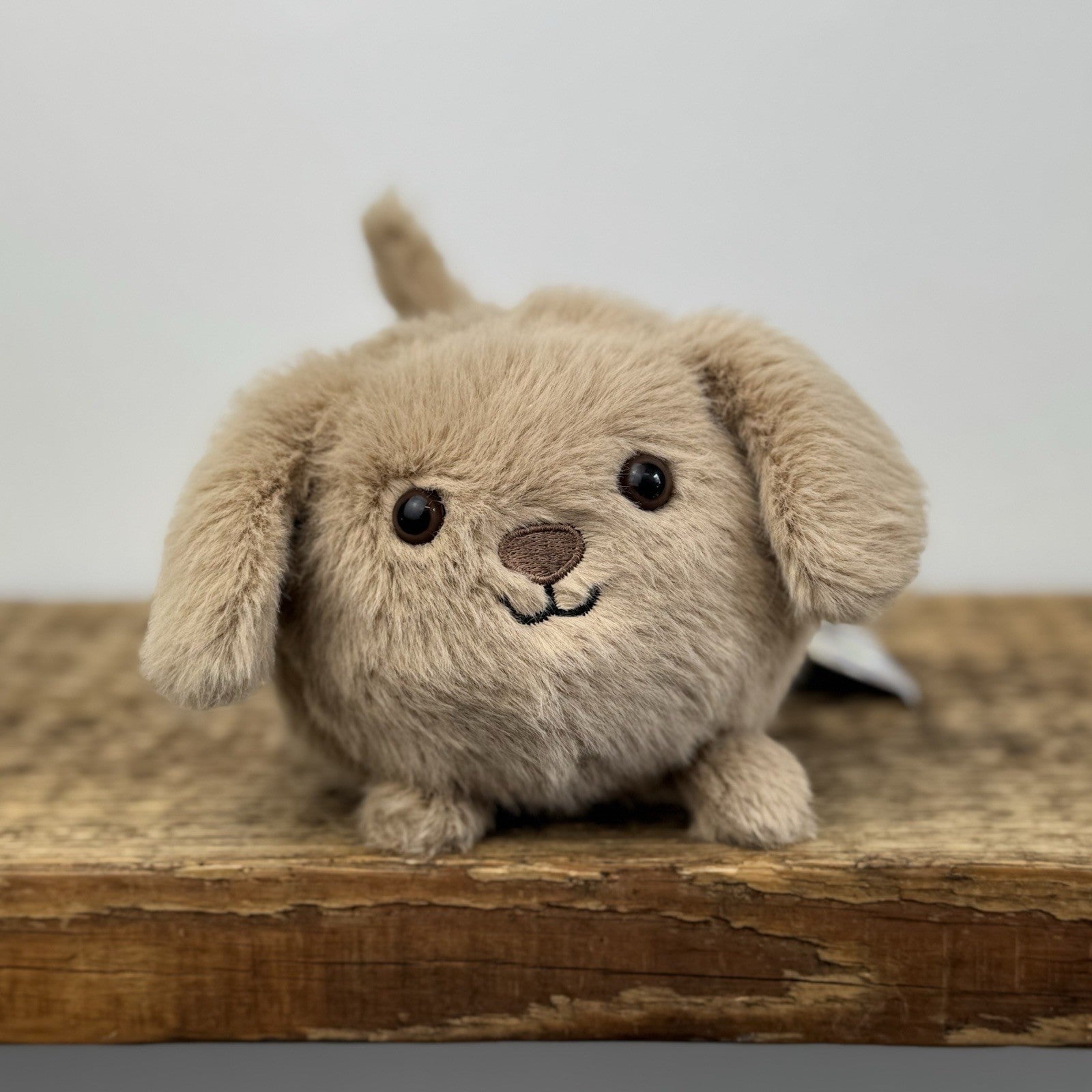 Jellycat Caboodle Puppy Dog - Brown Tiny Soft Toy Dog Small Honey Pup Retired 5"