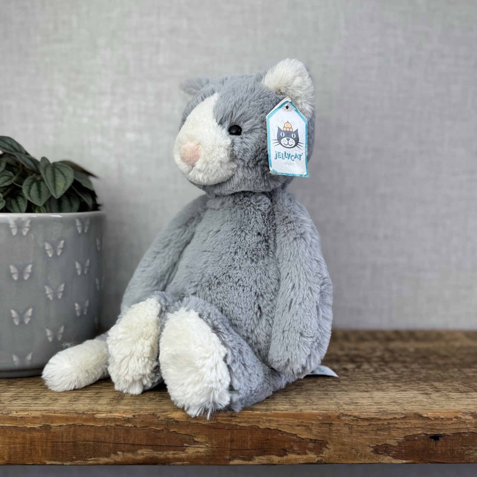 Jellycat Medium Bashful Cat - Grey/White Medium Kitten Plush - With Tags